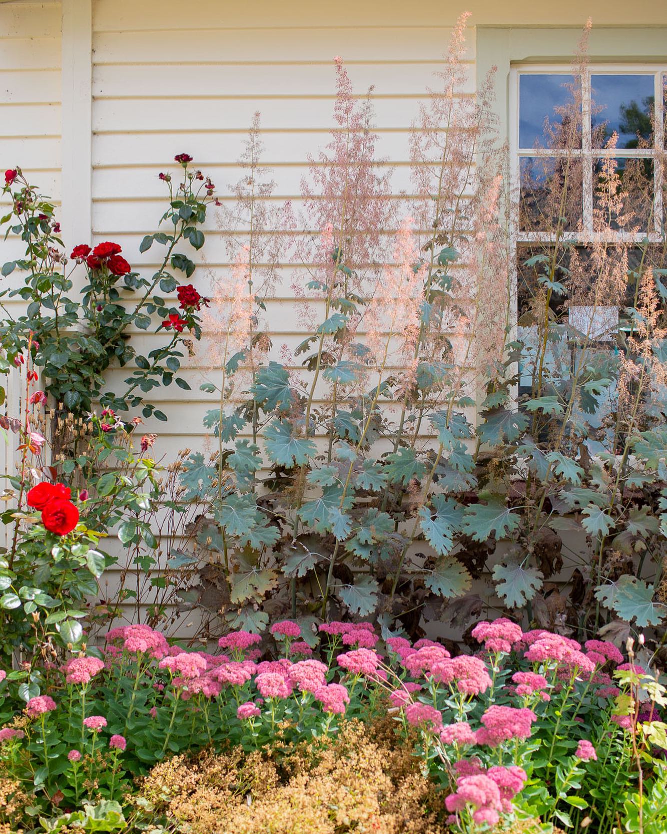 “If you have a garden and a library, you have everything you need.” ☺️💛
- Marcus Tullius Cicero
This beautiful garden is tucked between the Post Office and @postmasters.arrowtown in New Zealand’s South Island.
#arrowtown #arrowtownnz #seenewzealand #visitnewzealand #newzealandgardens #newzealandtravel ##newzealandphotography #gardenphotographer #landscapephotographyaustralia #gardenphotography #australiangardenphotographer