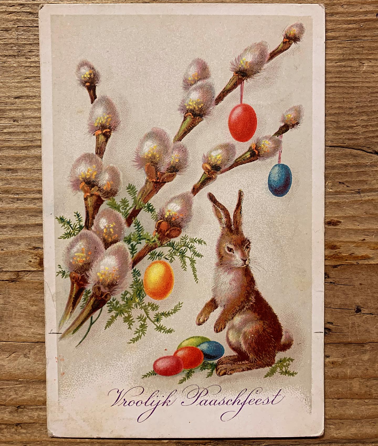 Koetshuis wenst iedereen een vrolijk Pasen 🐣
Wij zijn vandaag geopend van 12-18 u #koetshuisantiek #koetshuis81 #antiek #antiques #brocante #vintage #kloosterstraat_antwerpen #kloosterstraat81 #antwerpen #antwerp #easter #happyeaster #pasen #weareopen #postcard #forsale #tekoop