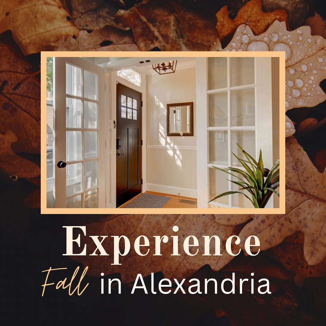 Come and visit the beautiful colors this fall in Alexandria! Stay with us at Payne St. House @oldtownalexandriavaca and check out some of our favorite restaurants and shops in the area like:
@augiesbeergarden
@hanksoysterbar
@barca_alx
@oldtownbooks
Also check out @visitalexva for excellent visitor and activity information!
Book directly with us at: www.oldtownalexandriavacation.com
