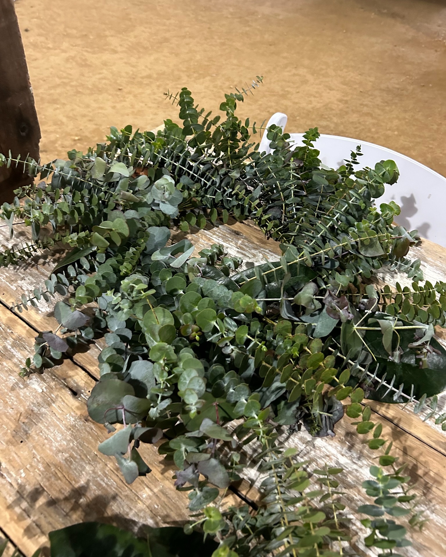 Embrace the season with a beautiful eucalyptus wreath handcrafted by our farm owner Cindy Bliss ๐ Find her from 9am to 2pm tomorrow (Saturday, 11/23) at the @lpmdfm (located in the main lot behind the Charles County courthouse) to say hi and get yours!
It's a great weekend to support your local farmers and small businesses. We hope to see you there ๐ฟ๐ค๐
#shopsmall #supportlocalbusiness #marylandfarms #laplatafarmersmarket #eucalyptus #holidaydecor #eucalyptuswreath #handmadewithlove #flowerfarm #marylandflorist #marylandbusiness #tistheseason