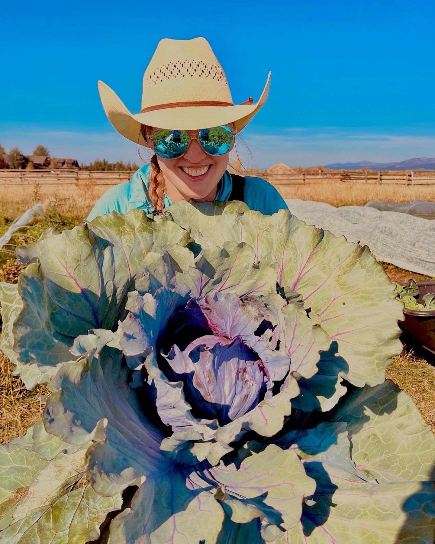 October love! Thank you @the_dory_project for the hot harvest pic, I do grow a mean cabbage ❤️🤘