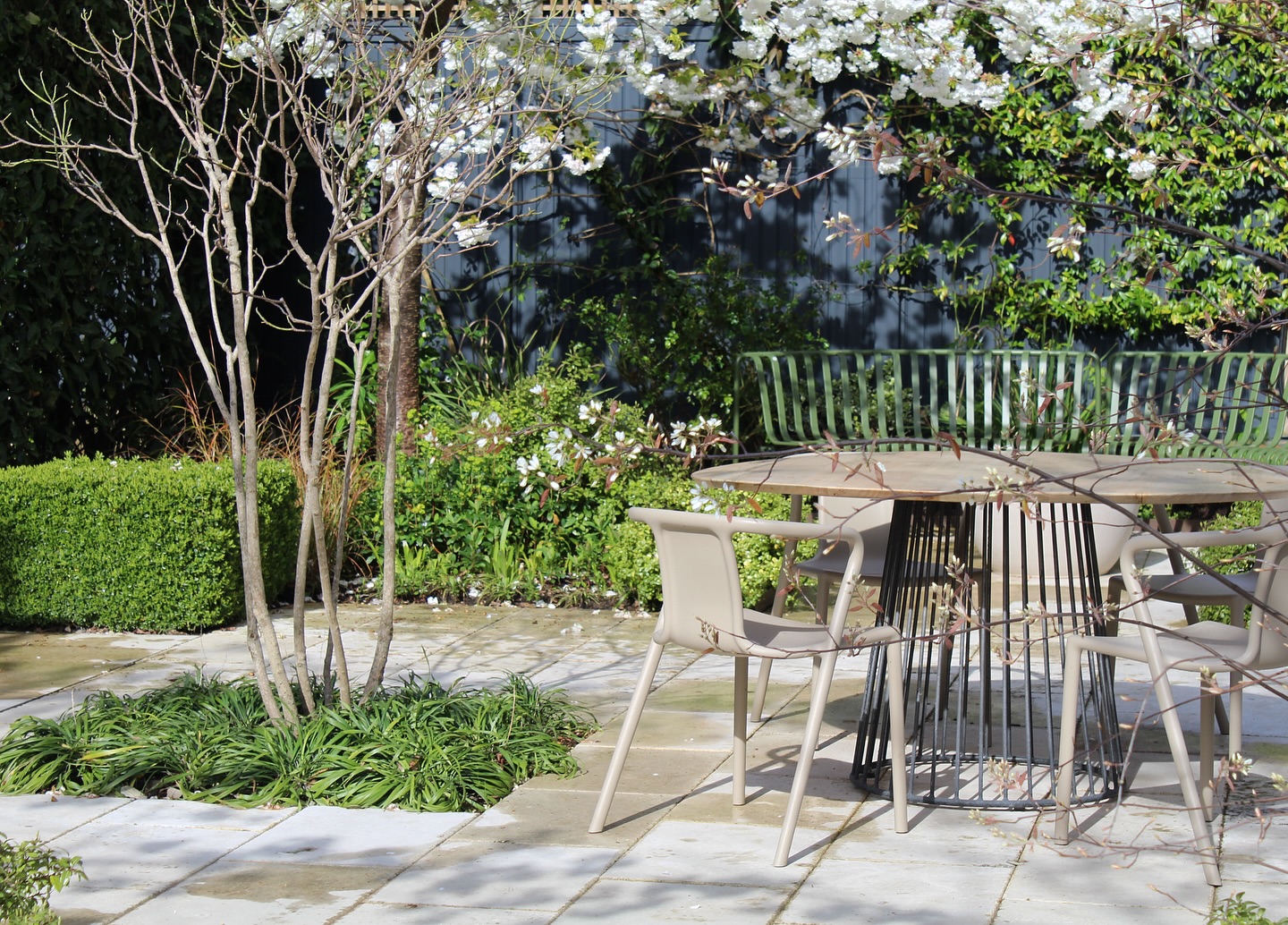 It’s one of my favourite times of the year in this garden in Wimbledon when the Amelanchier × lamarckii and prunus are in bloom at the same time. It’s been so lovely seeing everyone post these beauties the past few weeks. They are equally beautiful with their green foliage over the summertime 🍃🤍