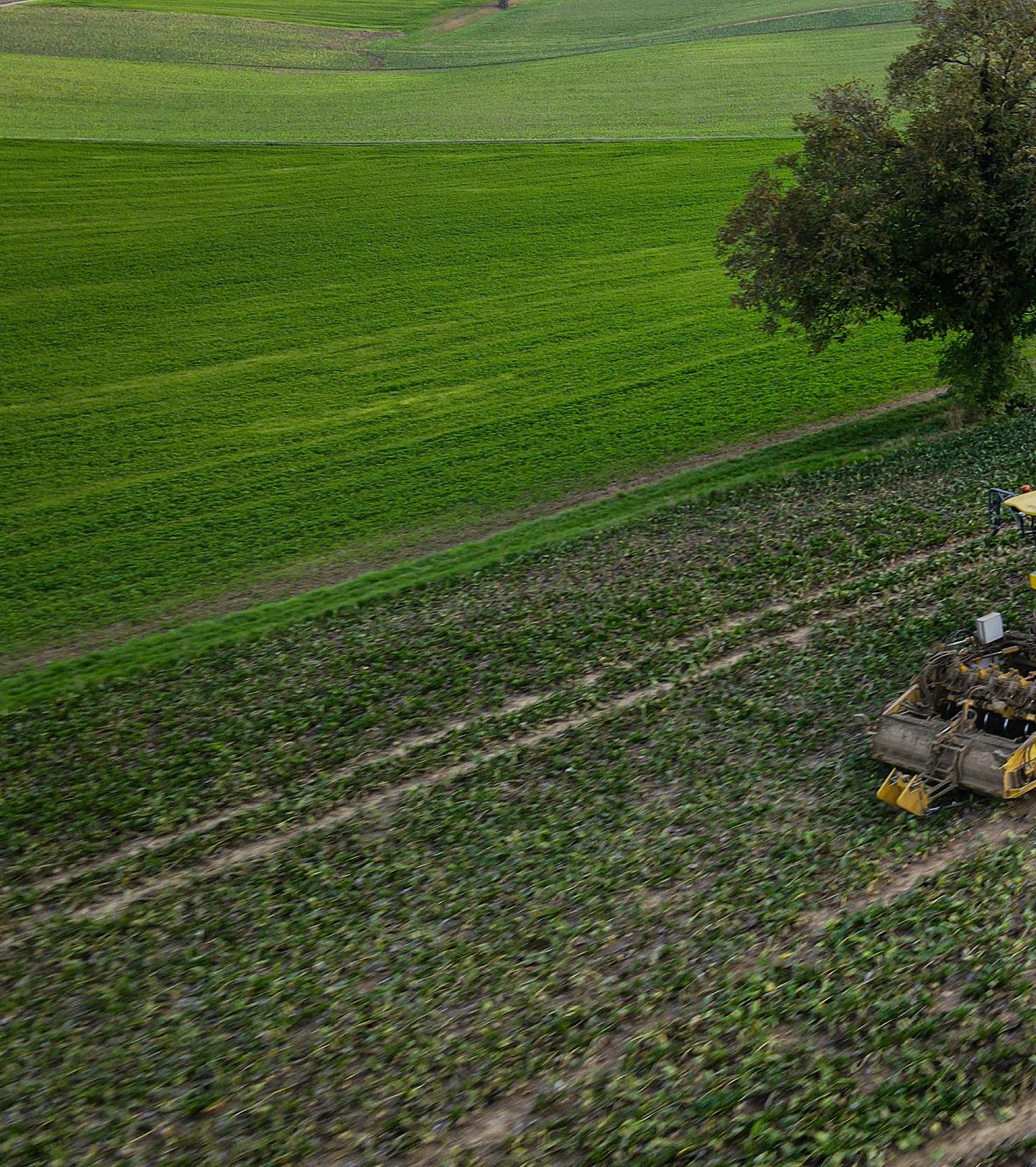 Nicht mehr lange 😍🍠
.
.
.
.
.
.
.
.
.
.
.
.
#ropa #ropamaschinenbau #ropapanther2s #ropadeutschland #gelb #zucker #zuckerrübe #zuckerrübenernte