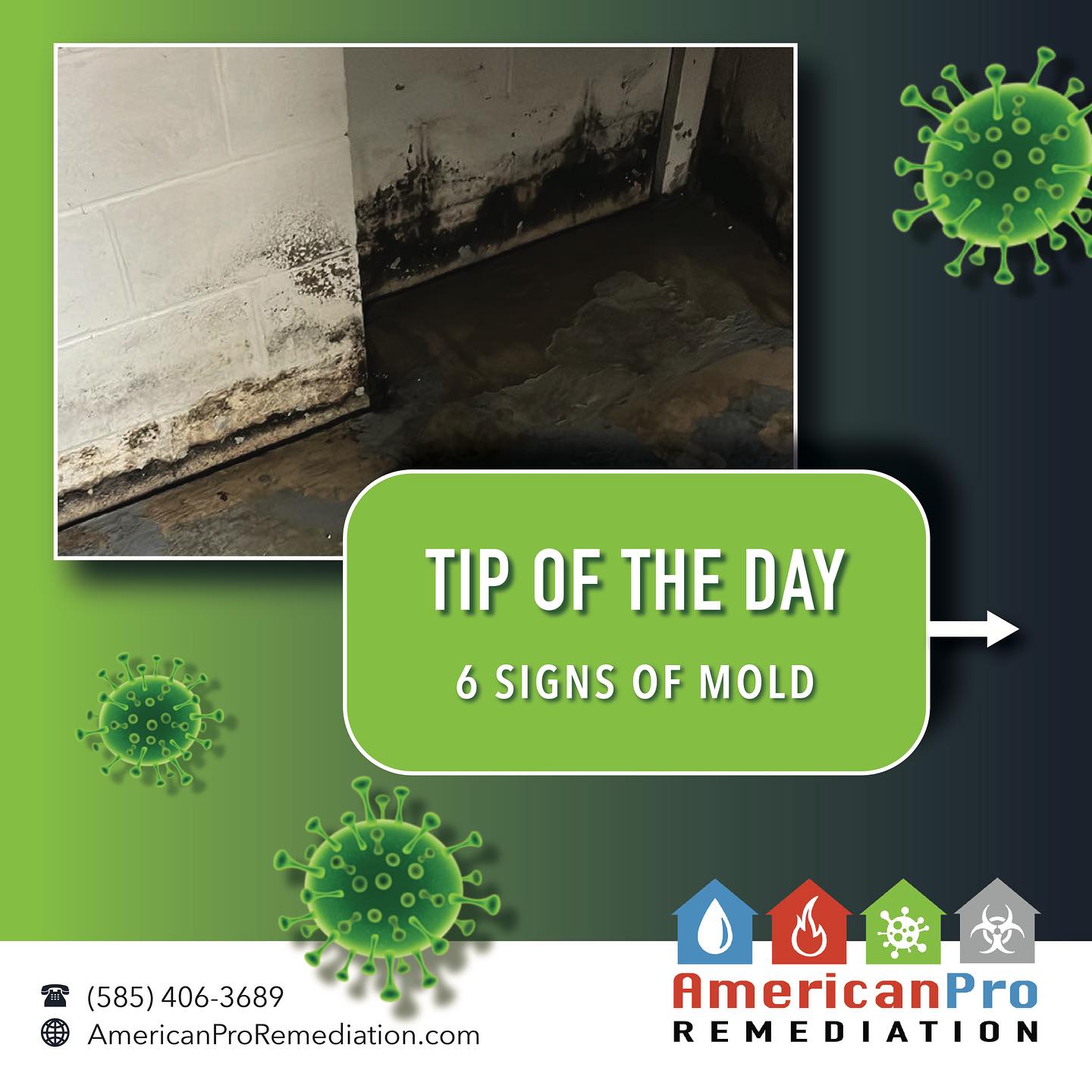 🦠 Here are some signs that mold may be affecting your home!
To learn more about the mold remediation services we offer, please check out our website or give us a call! We’d be happy to help find a solution that meets your needs! 🔗 Link in Bio!
🌐 To learn more click the link in our bio!
🚚 We service the Greater Rochester Area , Monroe County, NY!
⏰ 24/7 emergency services
#DamageRestoration #WaterDamage #Remediation #MoldRemediation #WaterMitigation #FloodDamage #RestorationCompany #RochesterNY #RestorativeDrying #Mold #IICRC #WaterDamageSpecialist #FireRestoration #FireDamage