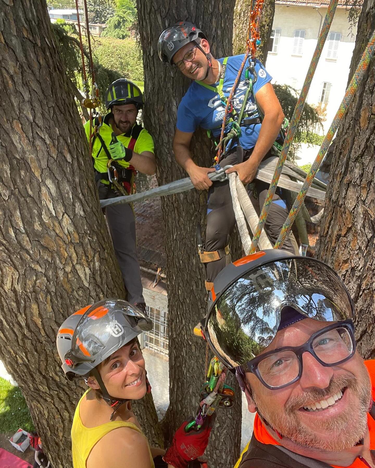 Ieri, grande squadra per un’altro grande paziente!🤩
596 cm di circonferenza e quasi 32 m di imponenza per questo spettacolare Cedrus atlantica x libani in quel di Margarita (CN), assolutamente da andare a trovare 😍
@codicealbero @crisoperla_arboricoltura @a.fontani @ivanchiapale @_martymori_ @fabio_mori_92 e Giulia @formazione3t
#agronomist #agronomo #arboriculture #arboricoltura #studioagronomicomori #ildottoredeglialberi👨🏻⚕️🌳 #fakopp #iml