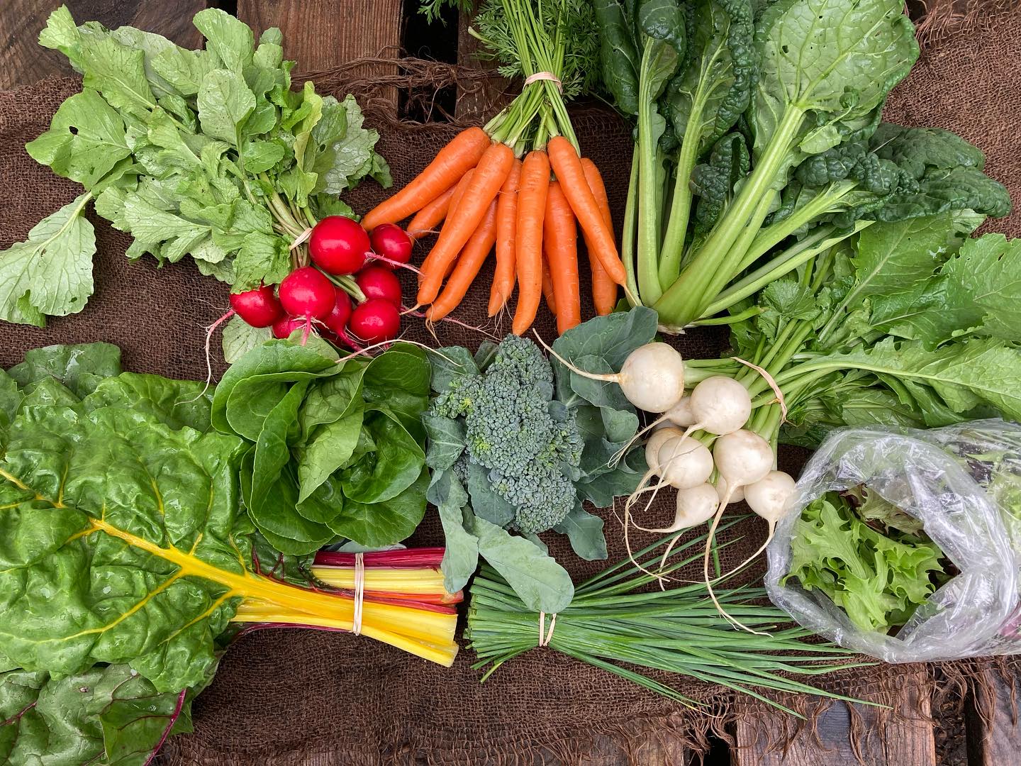 And we are off! Week 1 of the Veggie Box CSA was a success!
Thank you to all of our members who signed up for this vegetable journey; it was so nice getting to meet many of you and talk veggies!
We are opening up a few more spots if you are interested, link in bio for more info.
CSA member/farmers market customer PRO TIP- when picking up your CSA or getting veggies at the farmers market, bring extra plastic bags to bag your produce as you pack it up. All leafy greens and bunched roots store best in the refrigerator in a plastic bag or other airtight container that keeps in the moister. When you bag as you pack up your items, then unloading into the fridge later on is a cinche.
#nhagriculture #nhorganicveggies