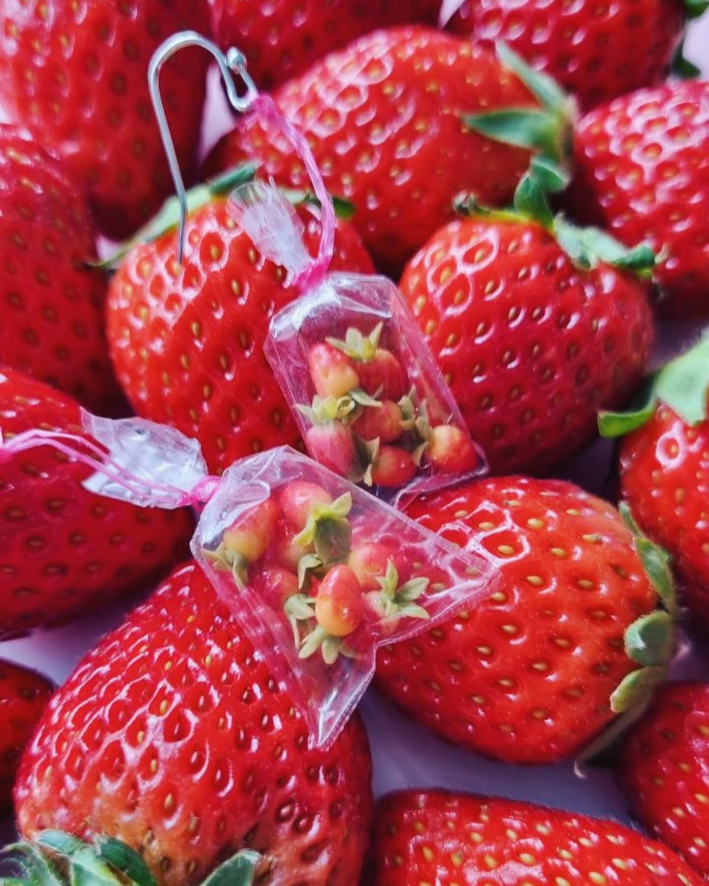 Big heat, tiny strawberries 🍓☀️
Debuting at @publicgarden this weekend. See you there!