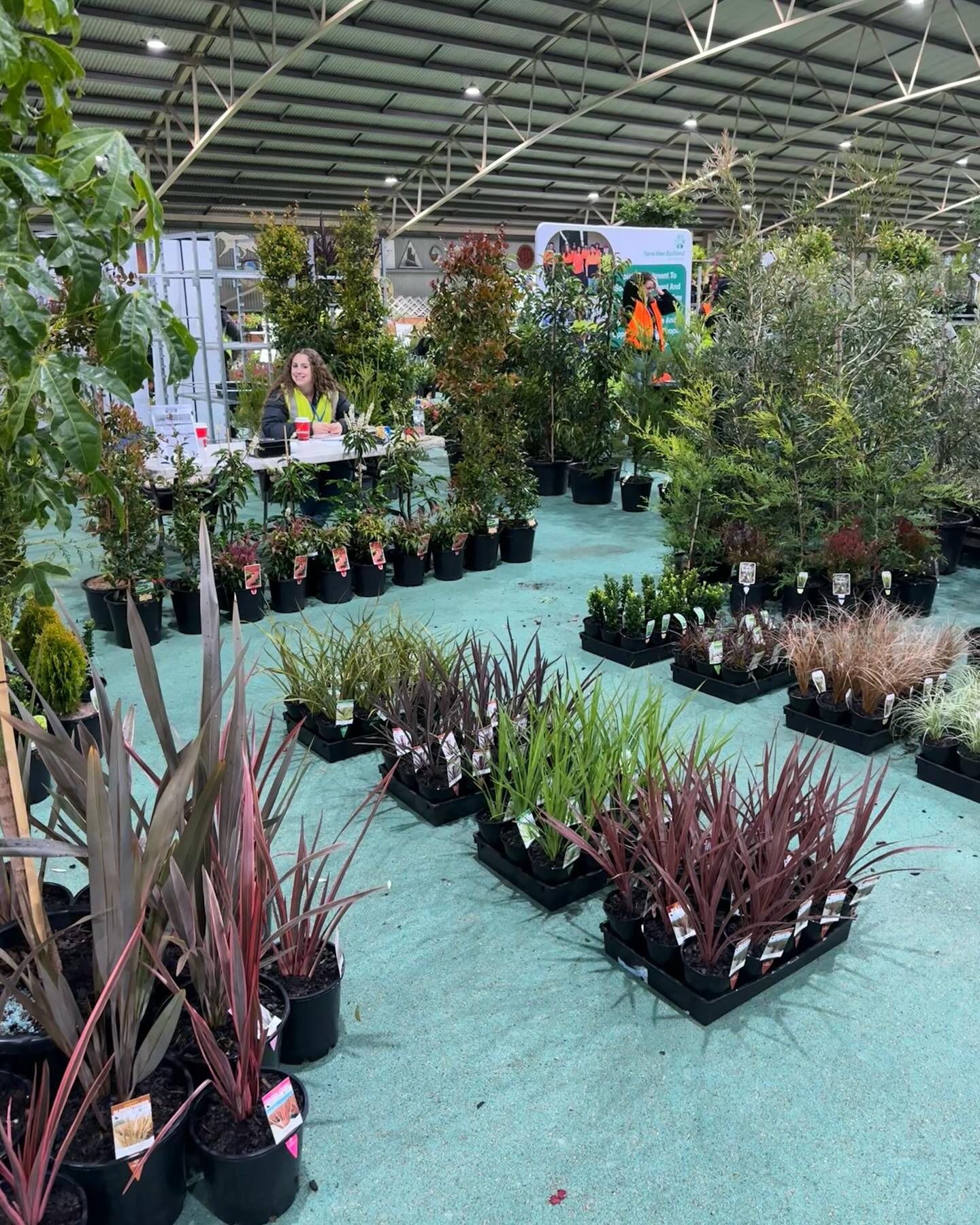 Bundameer’s D10 Stand this June #ngiv Tradeday!
Showcasing our remaining grasses/ Phormiums and lovely hedging lines that are perfect for borders and screening!
.
.
#plants #nature #landscaping #nursery #buylocal #plantsofinstagram #australianplants #gardening #houseplants #photography #flower #naturephotography #plantlover #outdoorplants #ngiv #evergreen #art #plantlife #beautiful #lillypilly #australiannatives #plantstagram #spring #flowerstagram #naturelovers #wholesaleplants