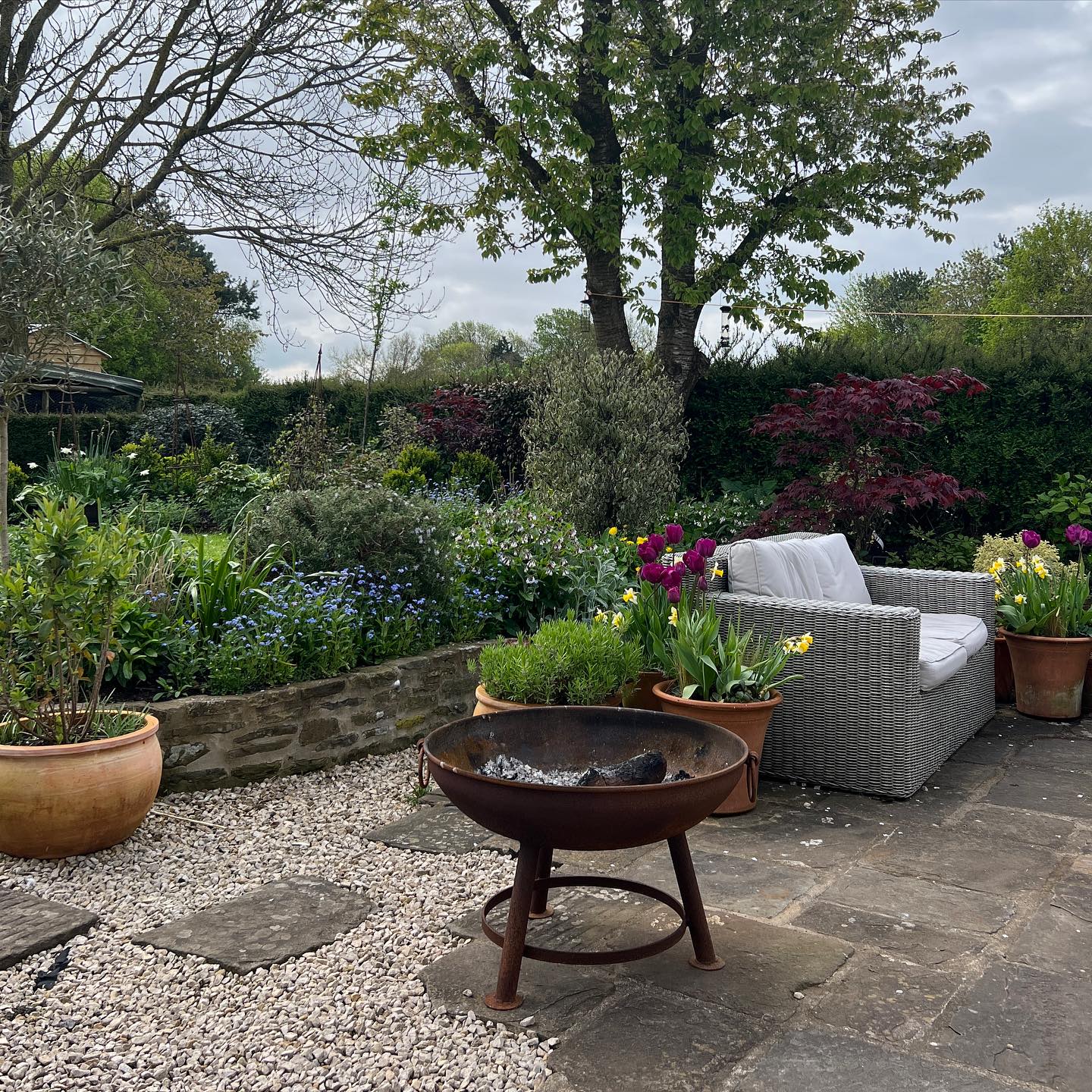 Starting to plan for your spring garden right now, containers and borders can be planted up with spring bulbs October to December
#springgarden
#springbulbs
#tulips
#daffodils
#gardendesign
#gardenmaintenance
#countryliving