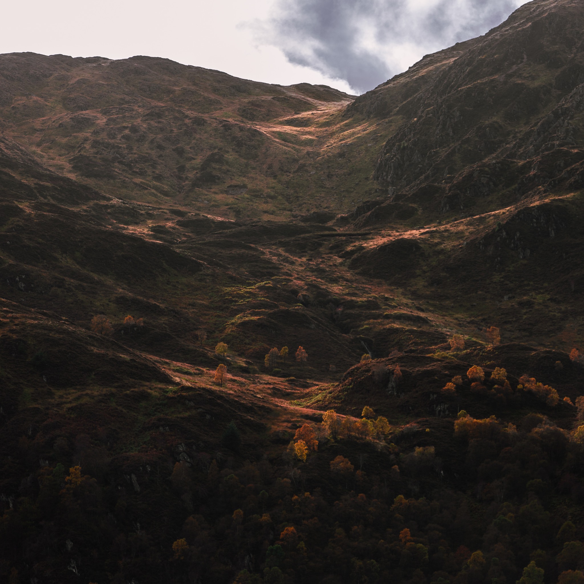 Movie scene mountains. A decent incline & terrain for hiking boots & 15kg of camera gear. Oh.. & a head torch. Head torch w*nker.
#benvenue #lochkatrine #lochkatrineviews #scotland #scotlandtrip #scotlandisnow #scotlandlover #scotlandshots #scotlandtravel #scotlandexplore #scotlandiscalling #scotlandhighlands #scotlandphotography #loch #scottishmountains