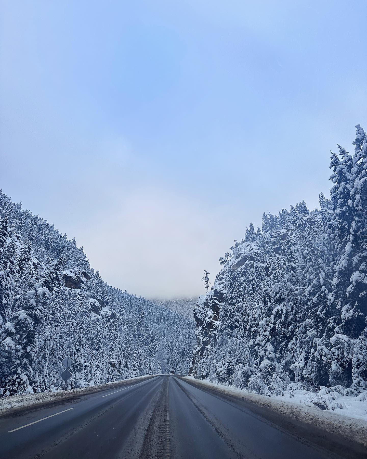 Driving through the Winter wonderland en route to the Kootenays in BC. ❄️
The drive, a tranquil Christmas fairytale, where the beauty of nature whispers the purest essence of peace.
#bc #bcrealestateagent #vacationproperty #invermere #invermerepanorama #drivebc #bcparks #hwy93 #kootenays #kootenaylife