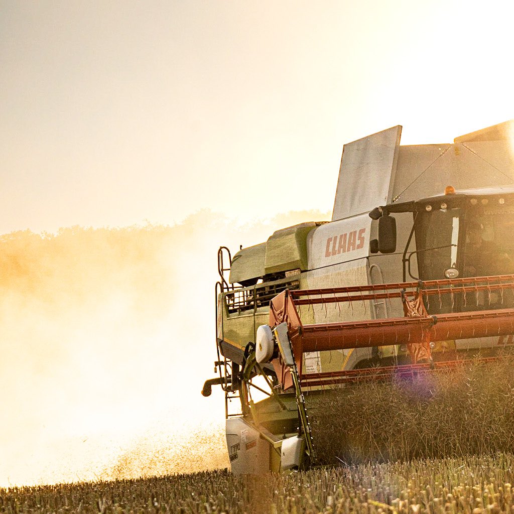 Raps Ernte 2023 Teil 2/2
.
.
.
.
.
.
.
.
.
.
#raps #rapsfeld #rapsernte #ernte2023 #kraichgau #2023 #landwirtschaft #lohnunternehmen