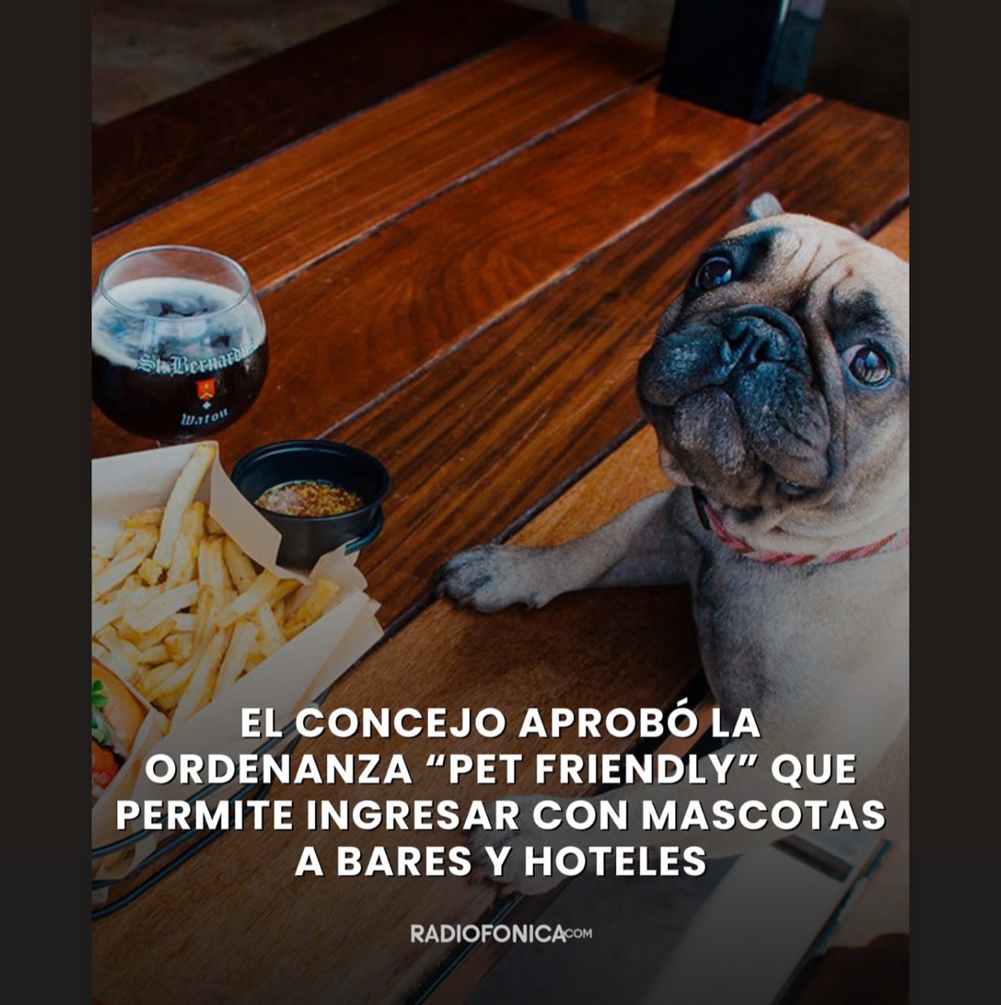 ¡ÚLTIMO MOMENTO! 🐕🐶 #RosarioEsPetFriendly 👉🏼Se aprobó la ordenanza que otorga licencias a bares, restaurantes y hoteles quieran adaptar sus servicios para incluir la visita de perros y gatos.
Ahora si 🥳 ¡A disfrutar de buenos momentos junto a nuestros amiguit@s!🐕
@cadena3rosario
@radiofonica100.7
@rosariotres
@rosarioplus
#veteporelmundo #veterinario #perrofeliz #petfriendly #petfriendlyhotel #petfriendlybar #mascotas #rosario #viajarconmascotas #rosariopetfriendly