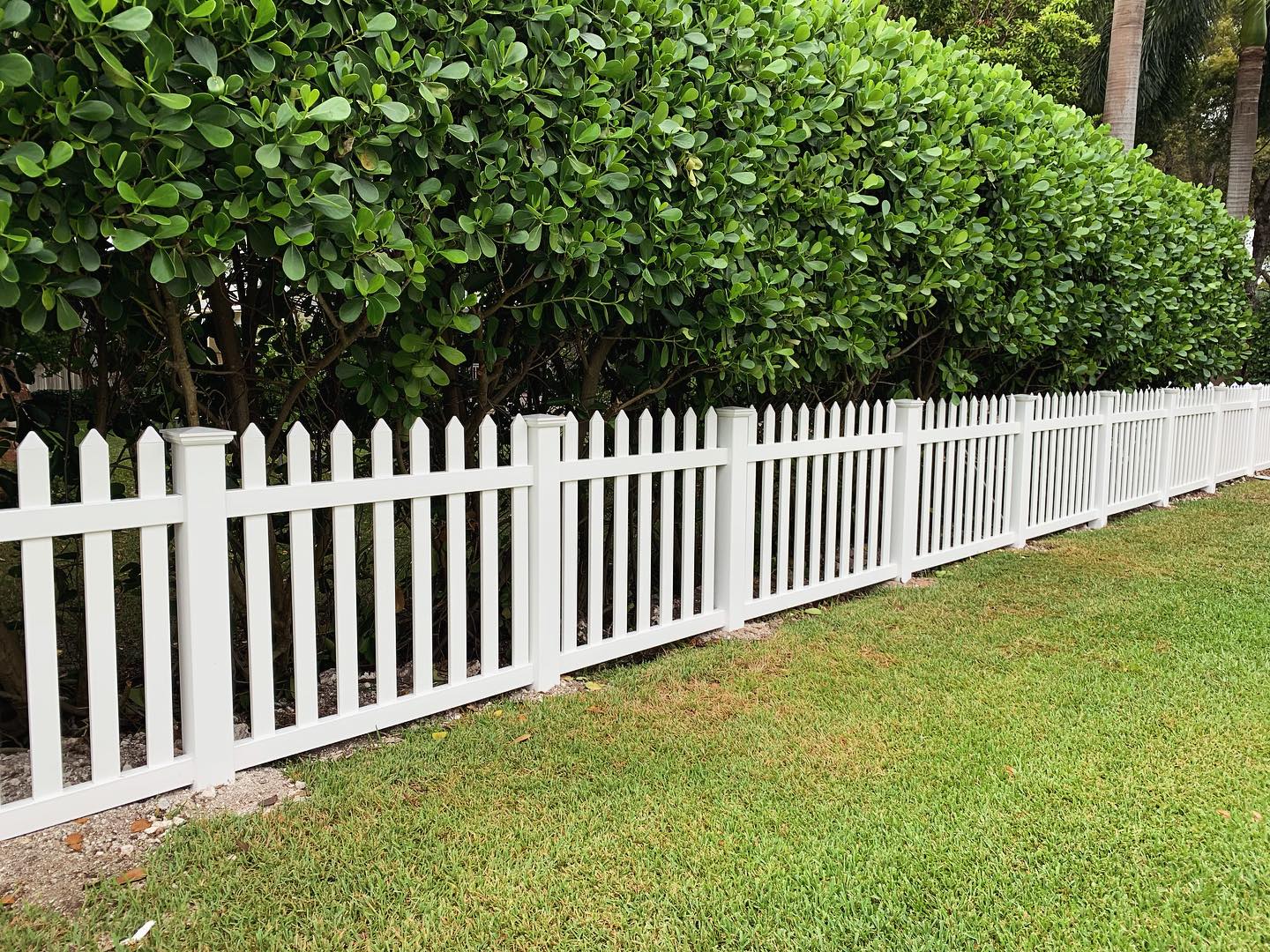 Have your White Picket Fence and low maintenance too! PVC 4’ high open picket for that classic look. #whitepicketfence #pvcfence #knowafenceguy #knowafenceco