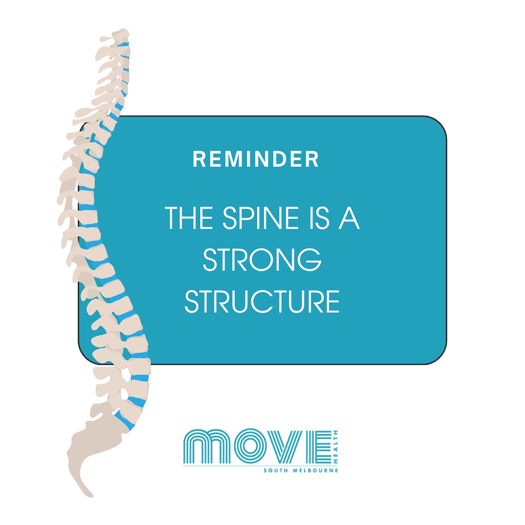 The spine is a resilient structure, although understandably, when people experience back pain it can feel like the complete opposite.
The structure of the spine allows various planes of movement, shock absorption, loading and other incredible tasks.
Whilst we do not recommend that every spine should be able to do these actions when you have acute or subacute back pain, we encourage our clients to remember that the spine is a strong structure. Studies even show that the way we think about our body, particularly during periods of injury or pain, can dictate our pain response.