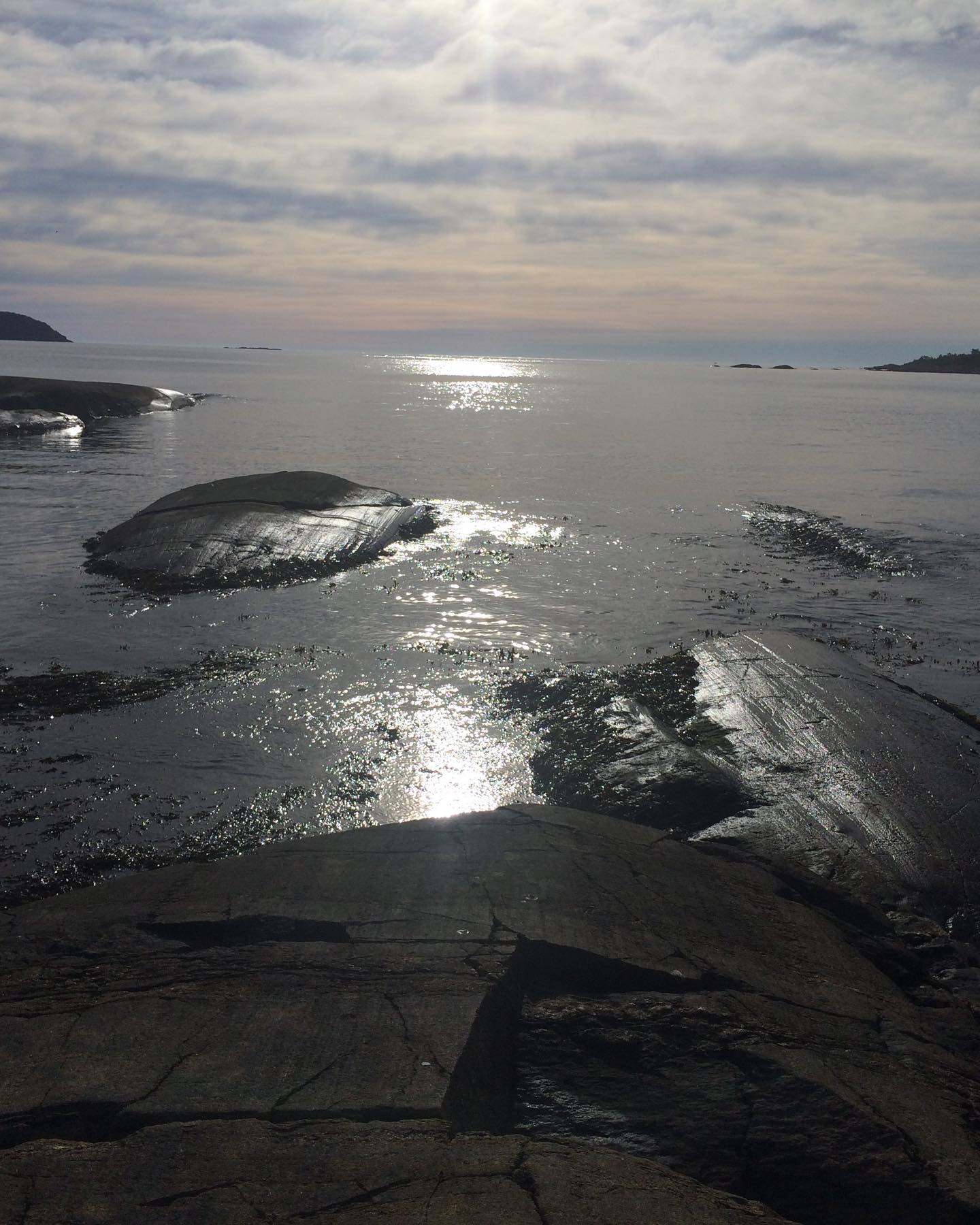 Høstdager i Steinvika Langesund 🍂
.
#unescoglobalgeopark #geopark #høst #kyst #coast #autumn #ut #langesund #narurebeauty #visittelemark #norway