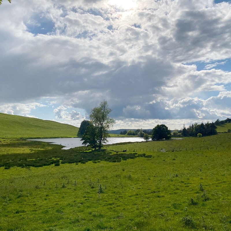 A beautiful light at the pool this evening!
#wales #powys #llynhillynpool #llynheilynpool #eveninglight