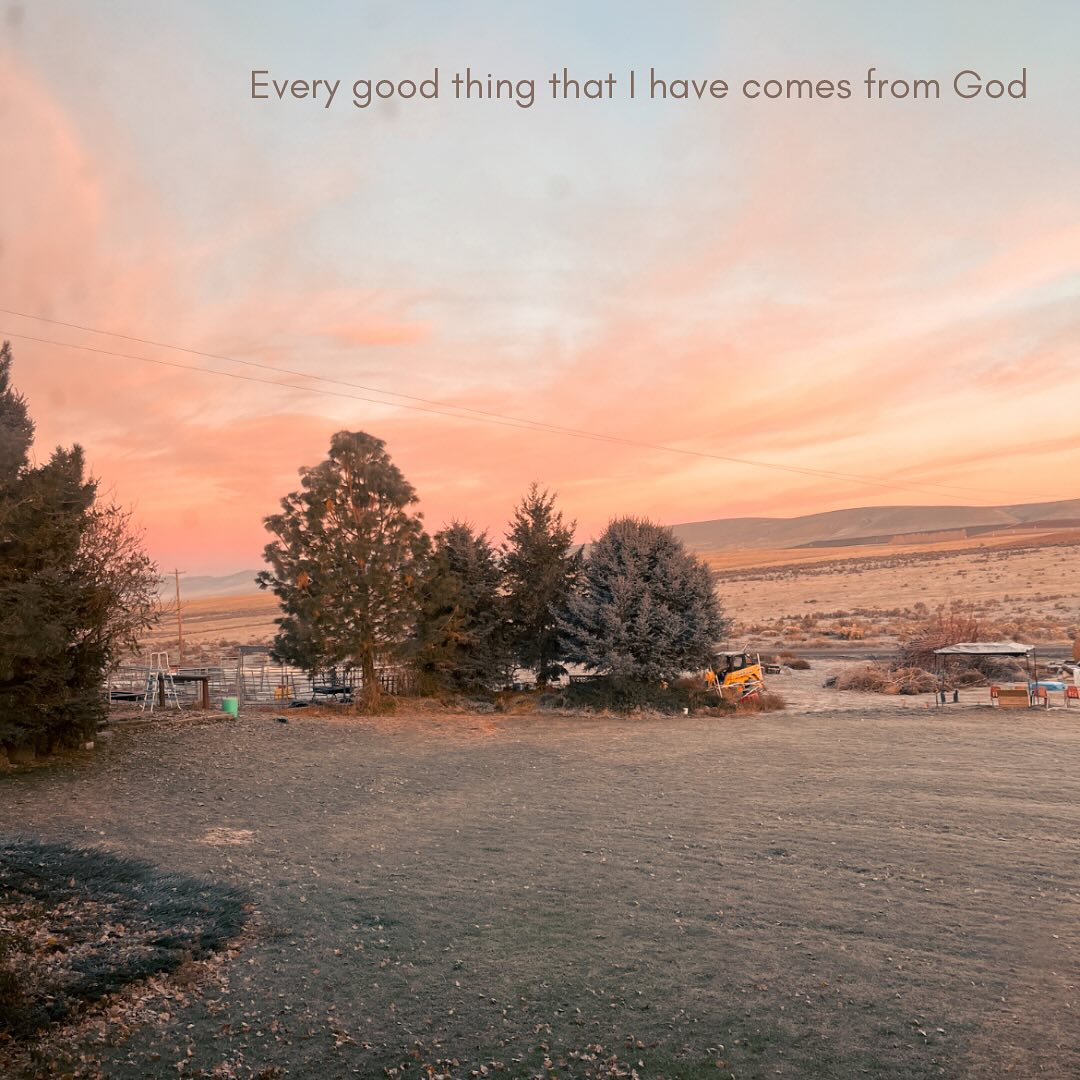 There is so much good to be found in the details. Every good thing in my life, every good thing about me, and every good thing I will ever be, comes from God. The more I open my eyes, the more God I see. When I take quiet time to do this, my heart overflows with gratitude. God is light. God is Love.