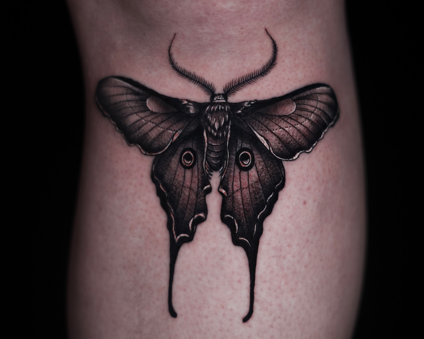 @tattoosbyalex_ #blackawork #blackandgraytattoo #inked #trending #instadaily #tampafloridatattooartist #tampatattooartist #tattedup #bugtattoo