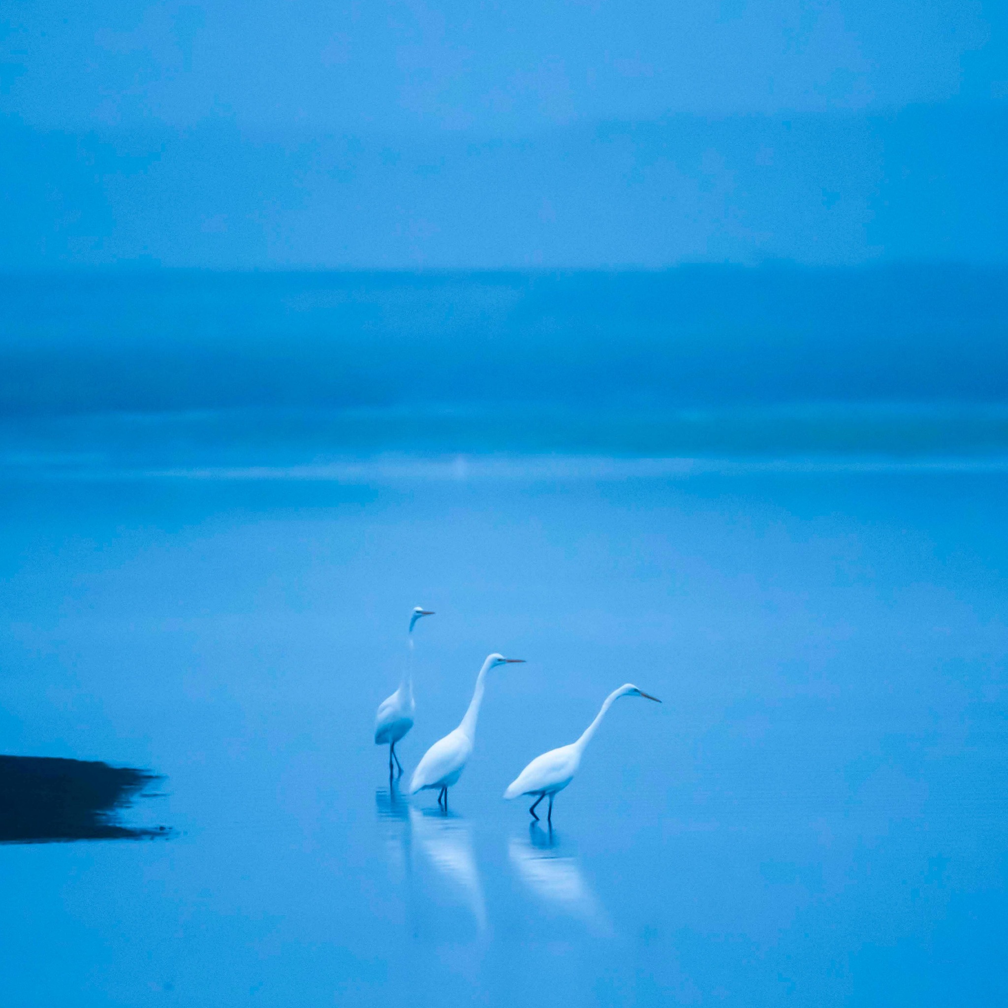 El silencio y la quietud son aliados inigualables en el camino del desarrollo personal. Es en esos momentos de simplemente estar, de abrazar lo presente en donde logramos integrar… logramos aceptarnos así como estamos, con nuestro pequeño o gran aprendizaje, con nuestra frustración, con muestro miedo o emoción por lo que viene… permitirnos silencio y quietud es darnos un abrazo profundo a nosotros mismos. 💫🙌🏻
.
.
#therapy #gestalt #soundhealing #meditation #thelab #emotionalalchemy #trauma #emdr #psicoterapiagestalt #soultherapy #desarrollopersonal #psicoterapia #trauma #emdr #terapiagestalt #emotionaltransformation #crecimientopersonal #motivacion #amorpropio #autoconocimiento #autoestima #bienestar #espiritualidad #inteligenciaemocional #inspiracion #abundancia #frases #emociones #saludemocional #saludmental #meditacion