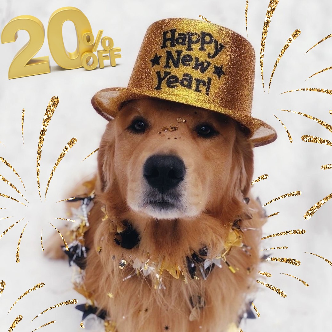 🎉 New Year, Zen Vibes! 🐾 Treat your pup to CBD-infused delights with our special sale.
🐾 Enjoy 20% off all CBD dog treats this week only! Visit us online at THECHILLPUP.com use code NYCBD20 at checkout.
Keep the chill in 2024! 🐶
#chillpupcbd #newyearzenvibes