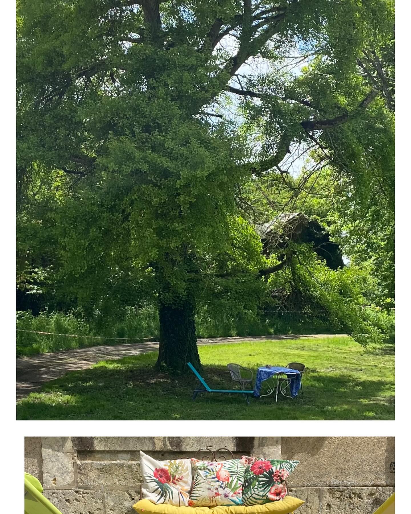 Enfin, les chaises longues sont de sortie ! Pour combien de jours….