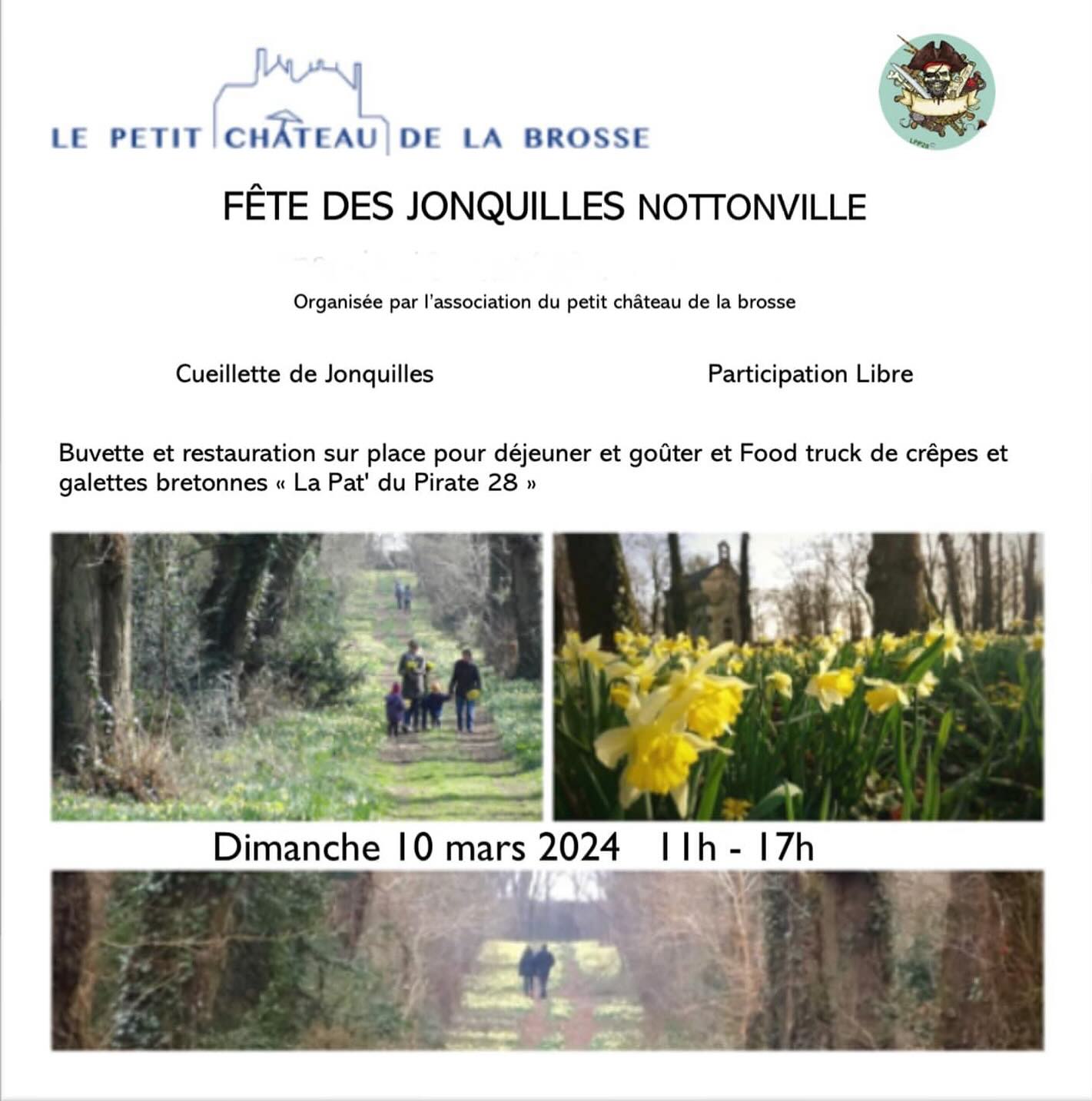 #fetedesjonquilles
#jonquilles