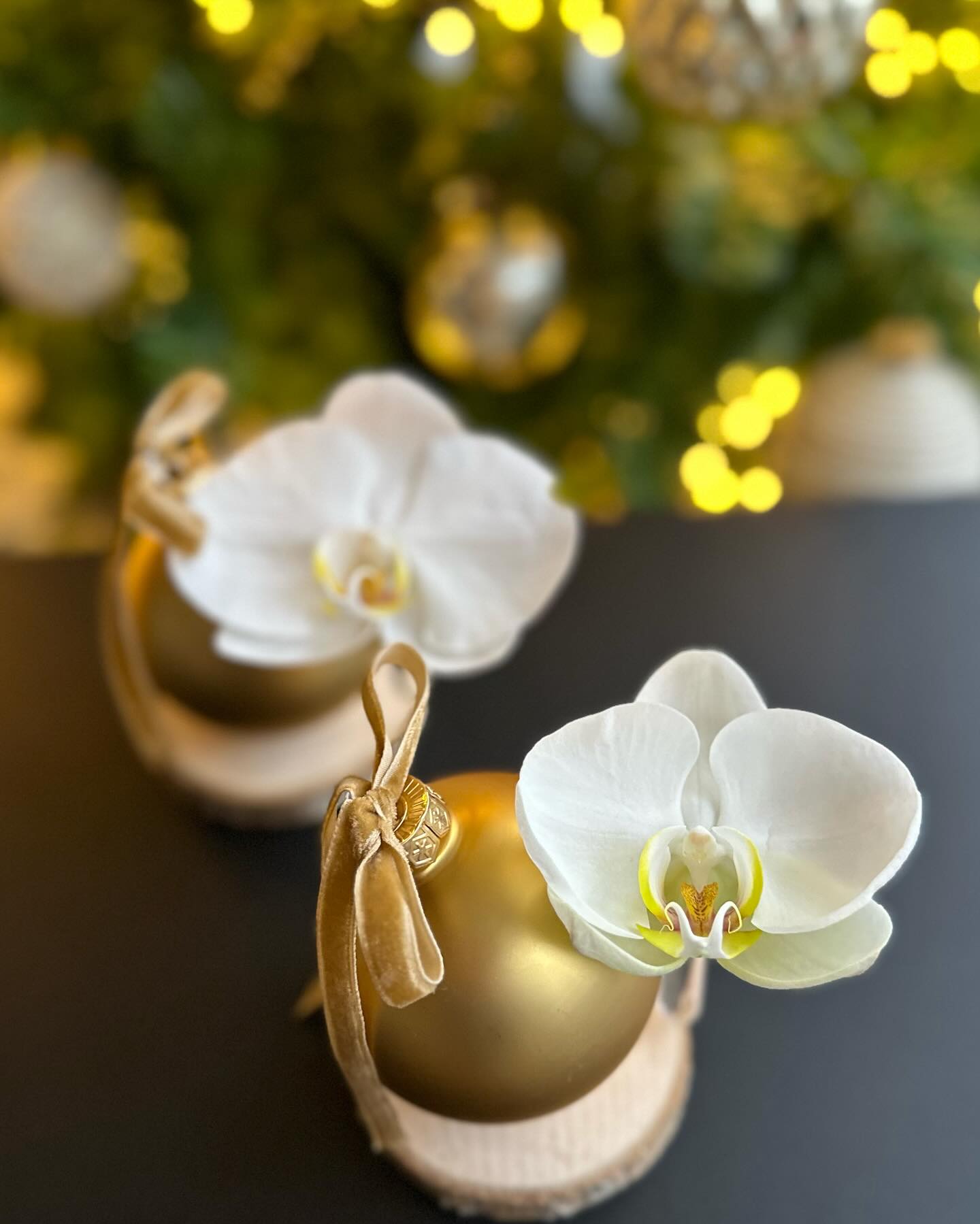 Pour notre plaisir ⭐️ #fleursaddict #walhain #artfloral #noel #orchidee #agoragroup