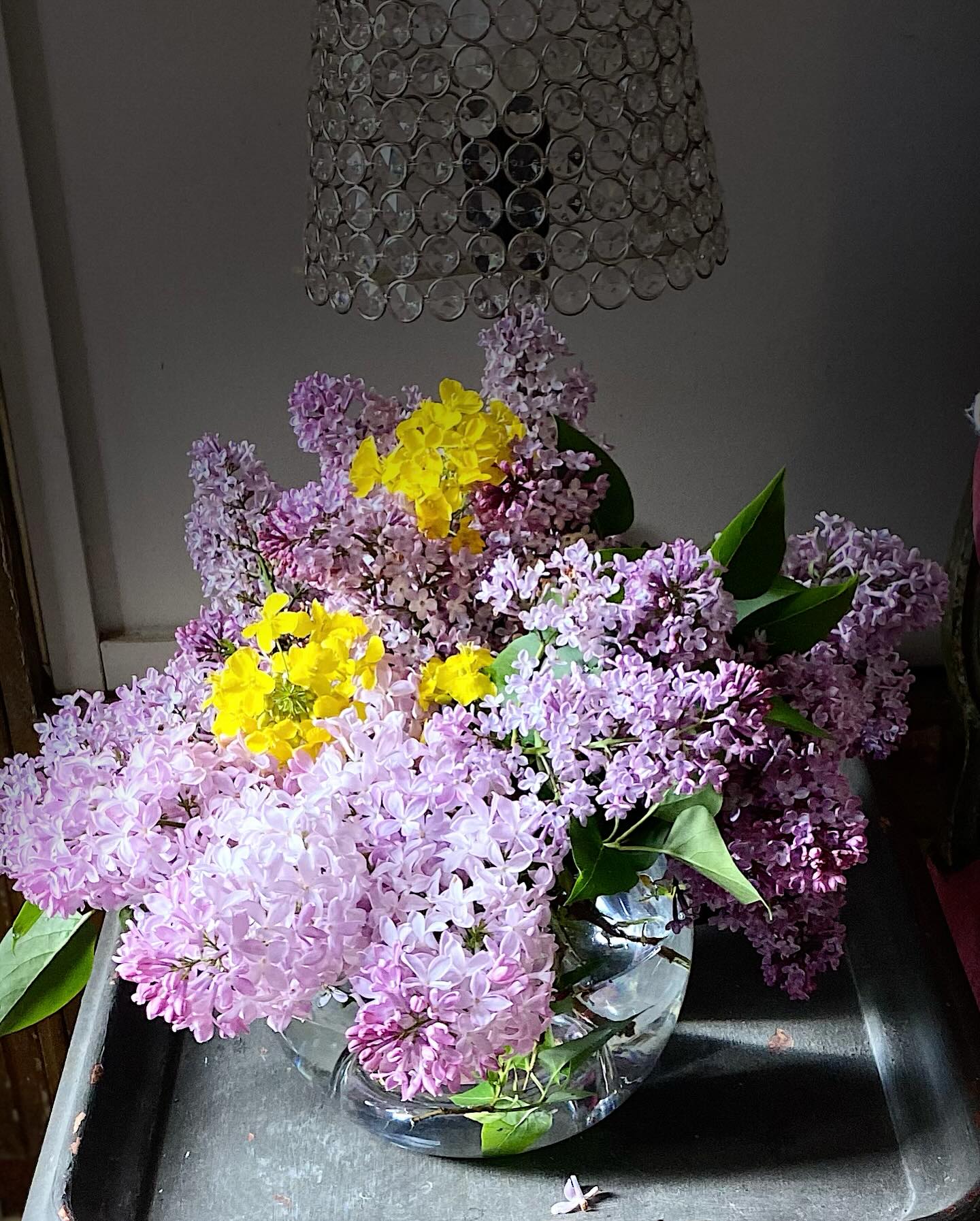 #bouquetsfleursdeschamps#lilas#bouquetslilas#lilascolza#lepetitchateaudelabrosse#petitchateaudelabrosse