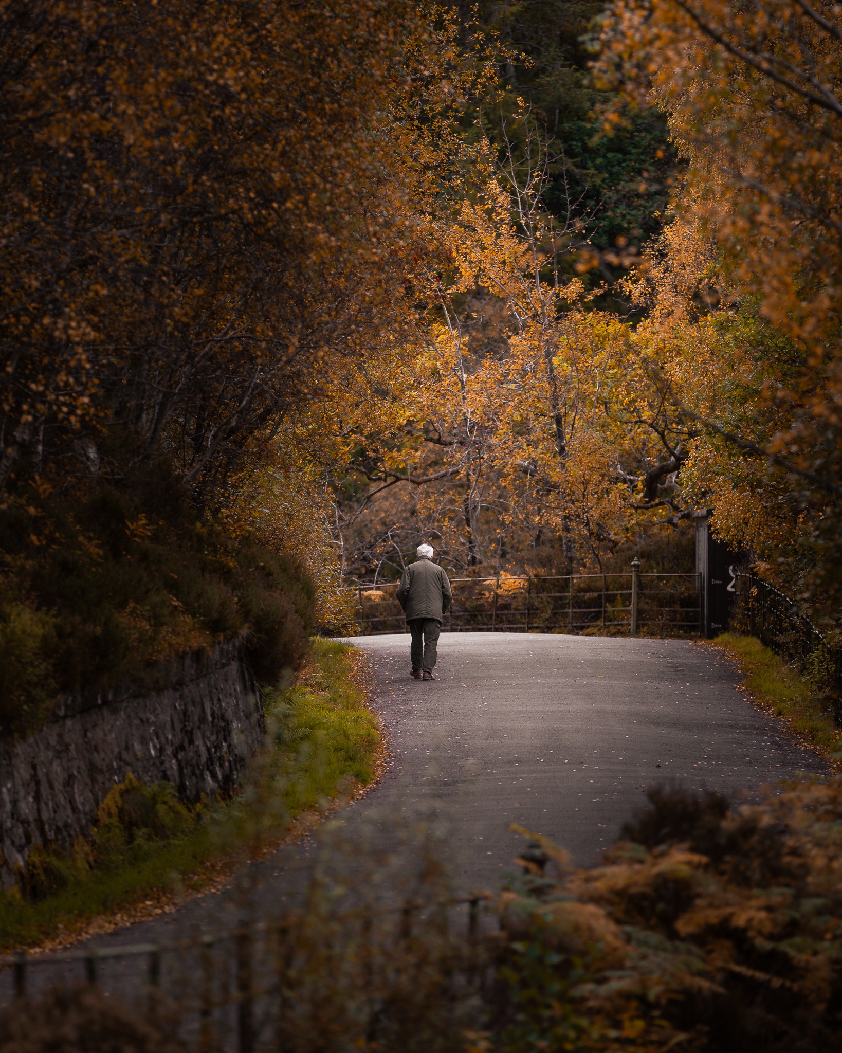 There goes Trevor. What a morning walk Trevor has. Trevor walks this route twice a week & each time he stops at the Pier Cafe for a Lorne sausage breakfast roll. I said.. "Trevor, no wife with you on these walks..?" He said.. "No.. she's back at home making me a bacon roll.. she doesn't know about the sausage ones I have at the pier." 😂
#lochkatrine #scotlandautumn #visitscotland #autumnwalks #goldenhourvibes #fallfoliage #scenicroute #discovernature #autumnjourney #scotlandlandscape #naturewanderer #peacefulmoments #scottishhighlands #wanderlustscotland #autumncolors #seasonalbeauty #walkinginnature #hiddenroads #goldenautumn #naturephotography #explorescotland #roadsideviews #autumnlandscape #hiddenscotland #scotlandshots #slowtravel #fallseason #autumntrees #naturelover #highlandsandislands