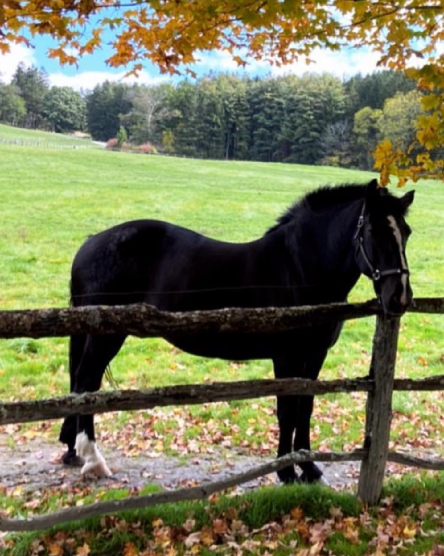 A few photos from a very special recent family trip to Pennsylvania for a weekend of hunting, fishing and golf! Everyone got a personalized goody bag with cashmere socks, wool hats, fleece shirts, and a monogram yeti.