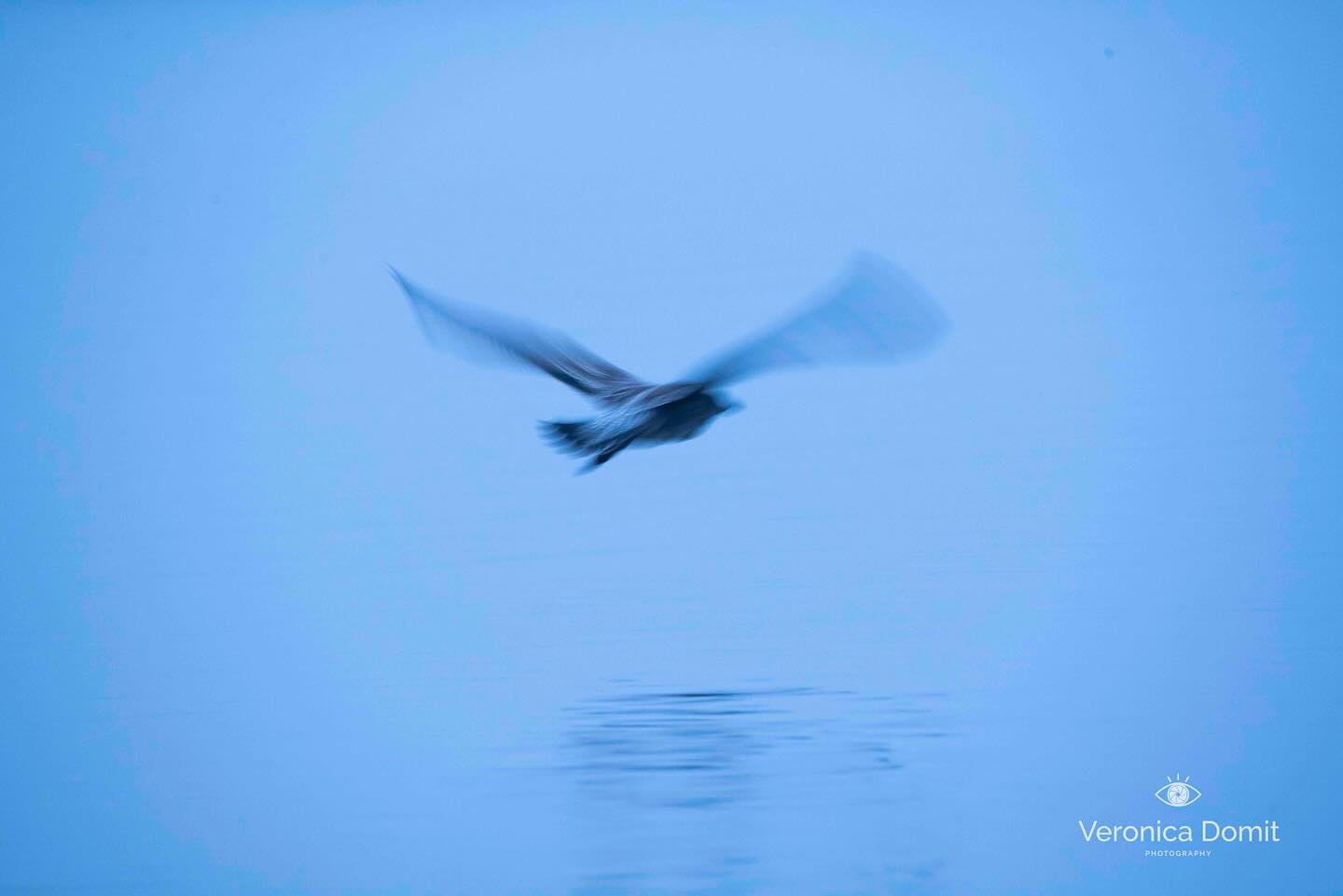 Cuando el dolor o la herida nos mueven a sanar, nos encontramos en una búsqueda inevitable de “algo mas”, ya sea una experiencia distinta, un entendimiento mas profundo, tal vez sea hacer las paces con nuestro pasado o perdonar… en esta búsqueda invariablemente encontramos mucho mas de lo que esperábamos. La expansión es el regalo. Del autoconocimiento al reconocimiento Divino. De lo mundano a lo sagrado. El desarrollo personal y la búsqueda espiritual en mi historia están intimamente ligadas… como ha sido para ti? Te leo en los comentarios 💫💙