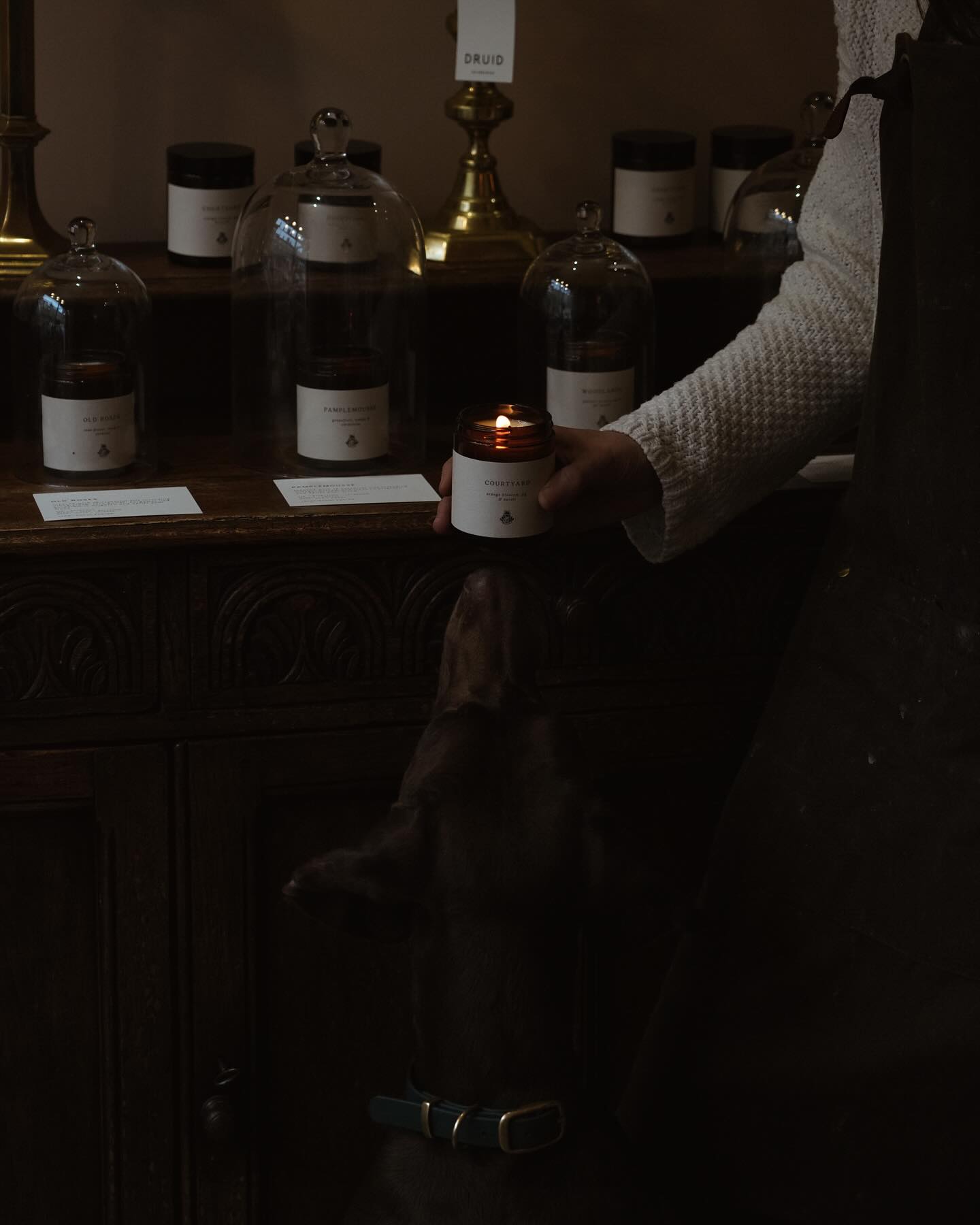 Sniff of approval from Juno for our new scent Courtyard
The delicate scent of orange blossom, combined with the bright citrus notes of neroli and fig, inspired by the sun-drenched courtyards of Marrakech that are framed with orange trees and offer unassuming serenity in an otherwise chaotic city