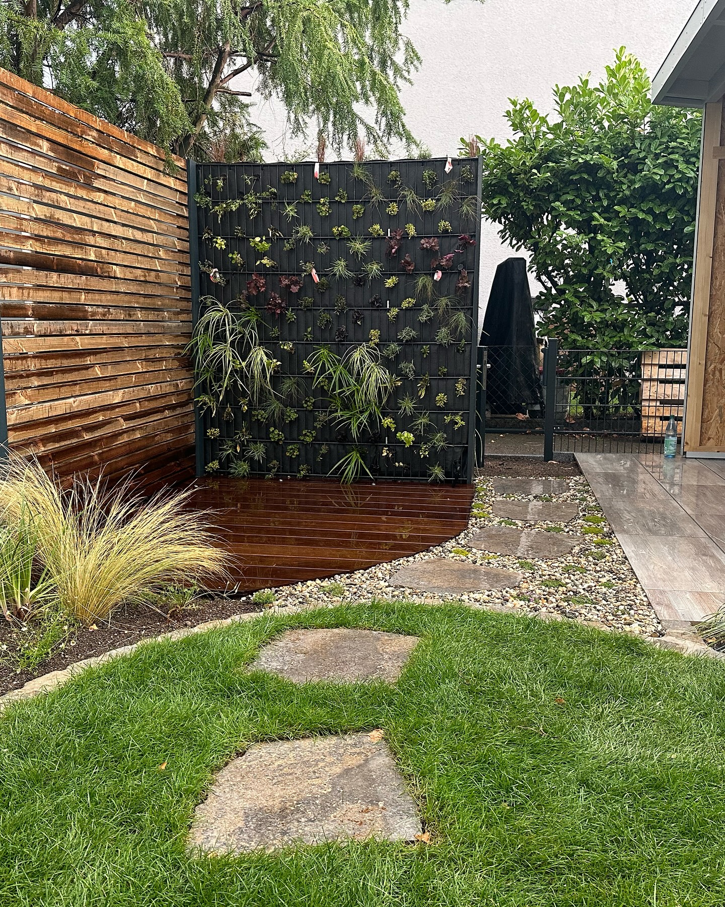 Wir befinden uns auf der Zielgeraden. Am Montag wird der Weg aus Trittplatten, Teppichstauden und Kies fertiggestellt.
Diese Wochen haben wir die Pflanzen-Gabione sowie beide Beete und einen Teil des Weges bepflanzt.
Die Bewässerung wurde in Betrieb genommen und ein paar Strahler wurden verbaut.
#gartengestaltung #gartenumgestaltung #kebony #kebonyclear #kebonycharacter #pflanzengabione #muschelkalk #rollrasen #emperoroutdoorceramic #ranko #stauden #lightpro