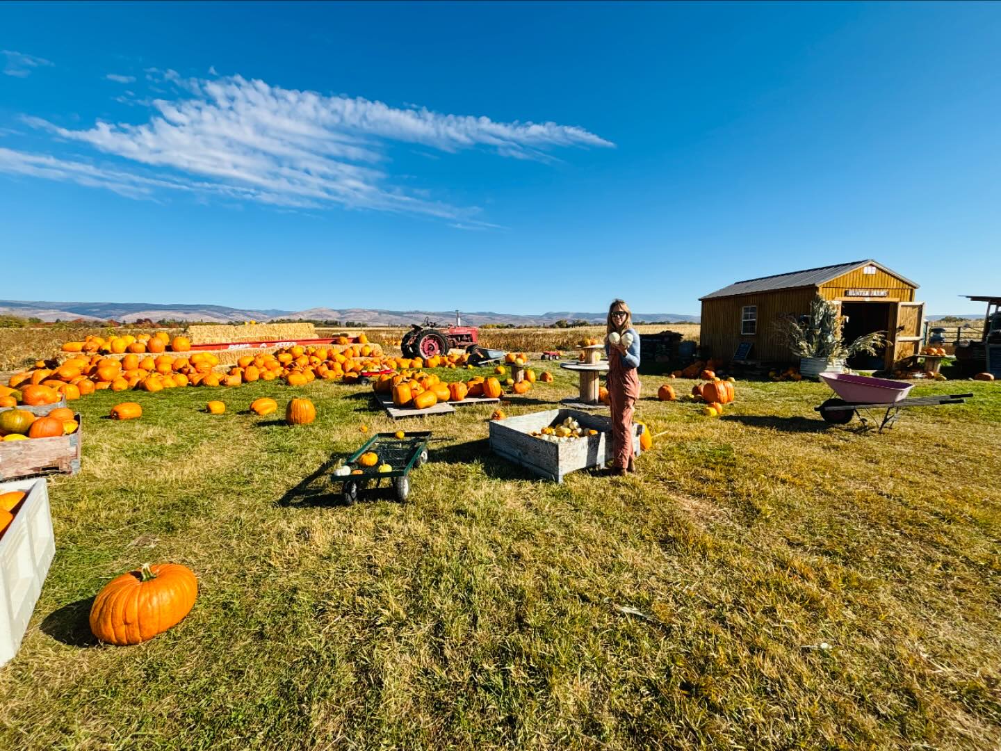 Final pumpkin porch package pick up at @sarahunterfarms in ellensburg. Delightful fall day has me in the 🍁 mood @prettyporchnw #prettyporch