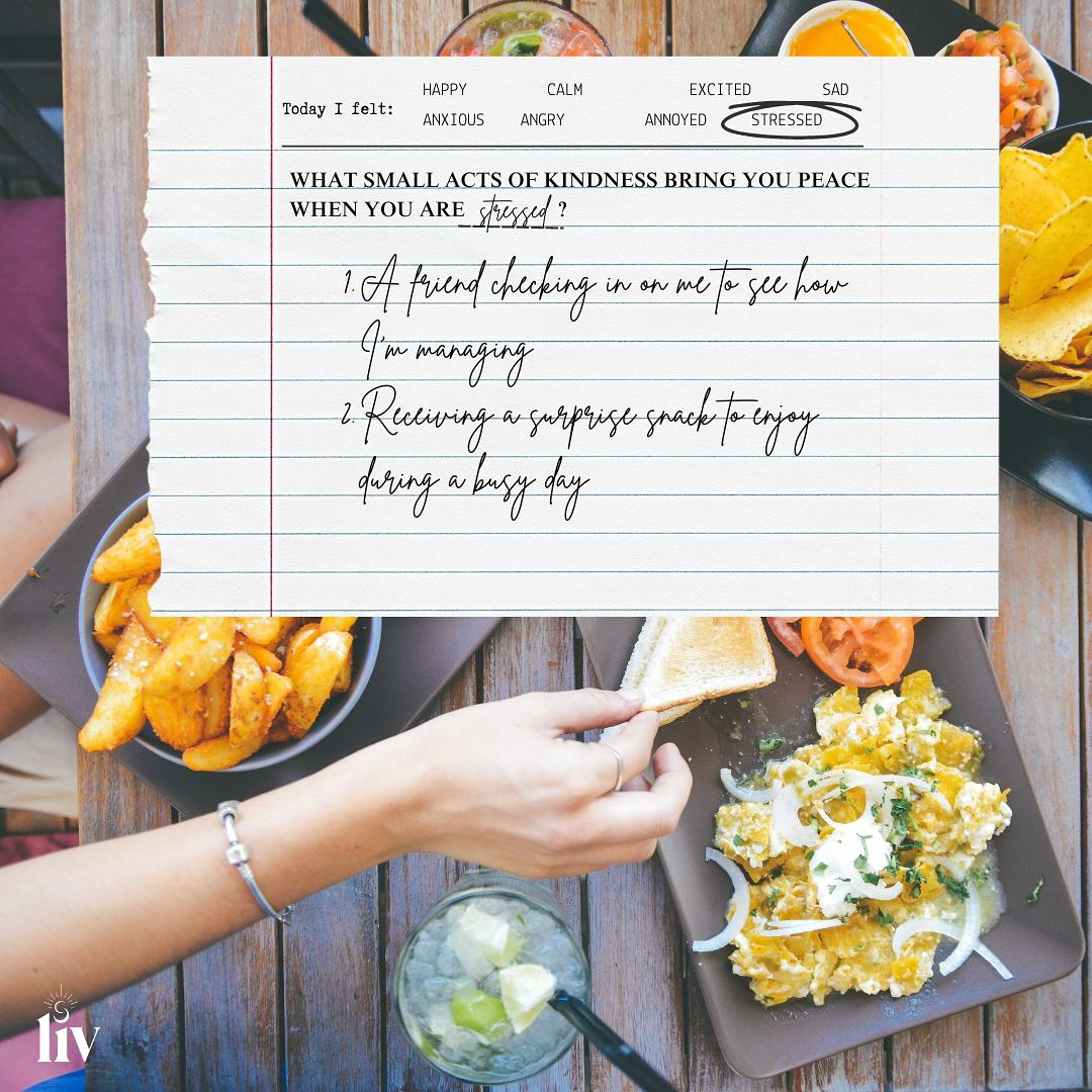 🥗🥪🌯🌭🍕🍱