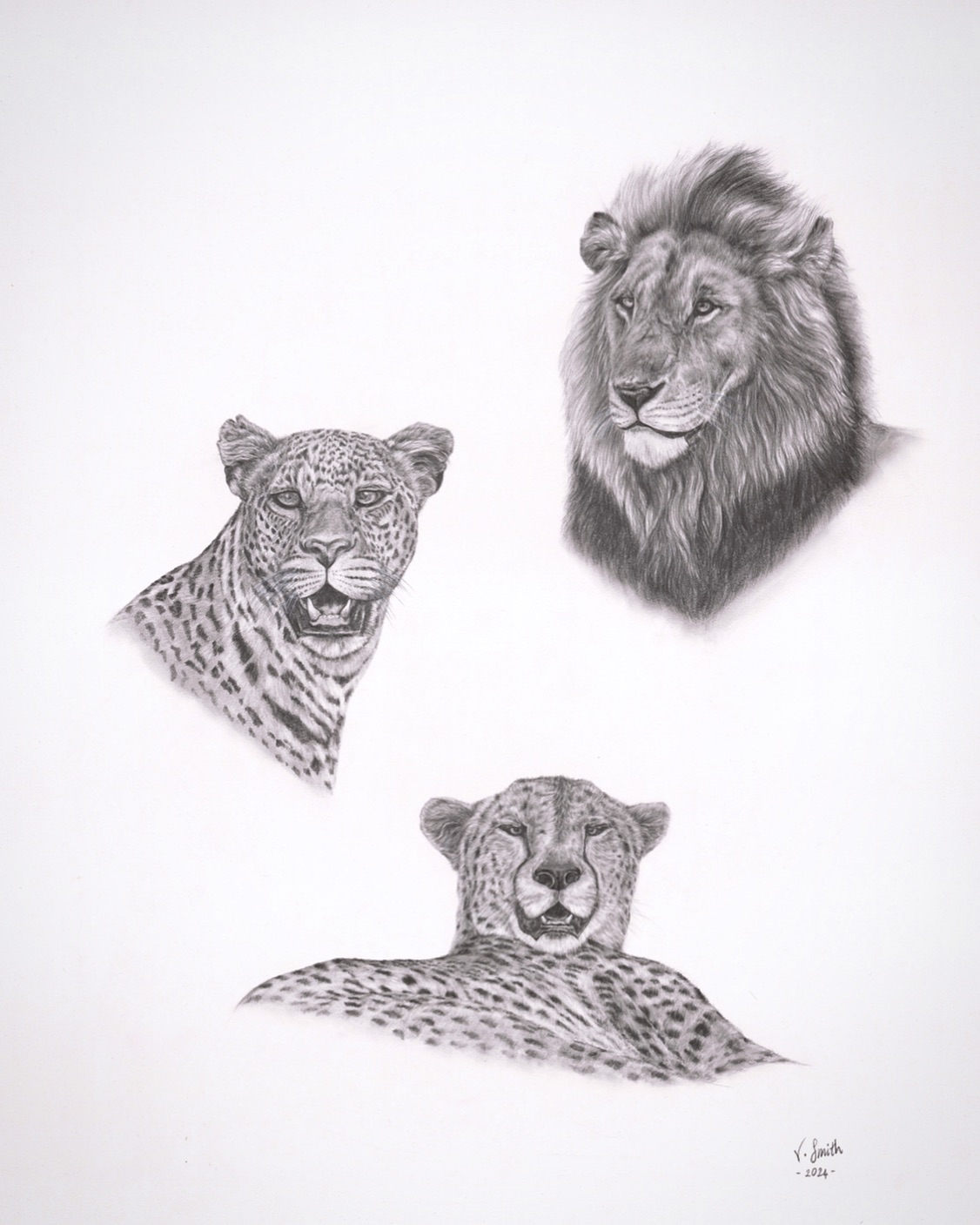 ‘Mara Royalty’ 🇰🇪
The real kings and queens of the Masai Mara, Kenya. I was fortunate enough to encounter these three big cats on safari with @offbeatridingsafaris and was even luckier to personally photograph them.
The original was commissioned by a wonderful guest I shared these moments with on safari. I will be producing prints of the original three, along with individual prints of the lion, with 5% of profits going to a chosen wildlife conservation organisation. Keep an eye out for the drop coming soon… along with a few other exciting things! 👀
Feel free to DM for personal requests.
#masaimara #kenya #maasai #africa #safari #africanwildlife #wildlifedrawing #drawing #commission #artist #africanartist #africanart