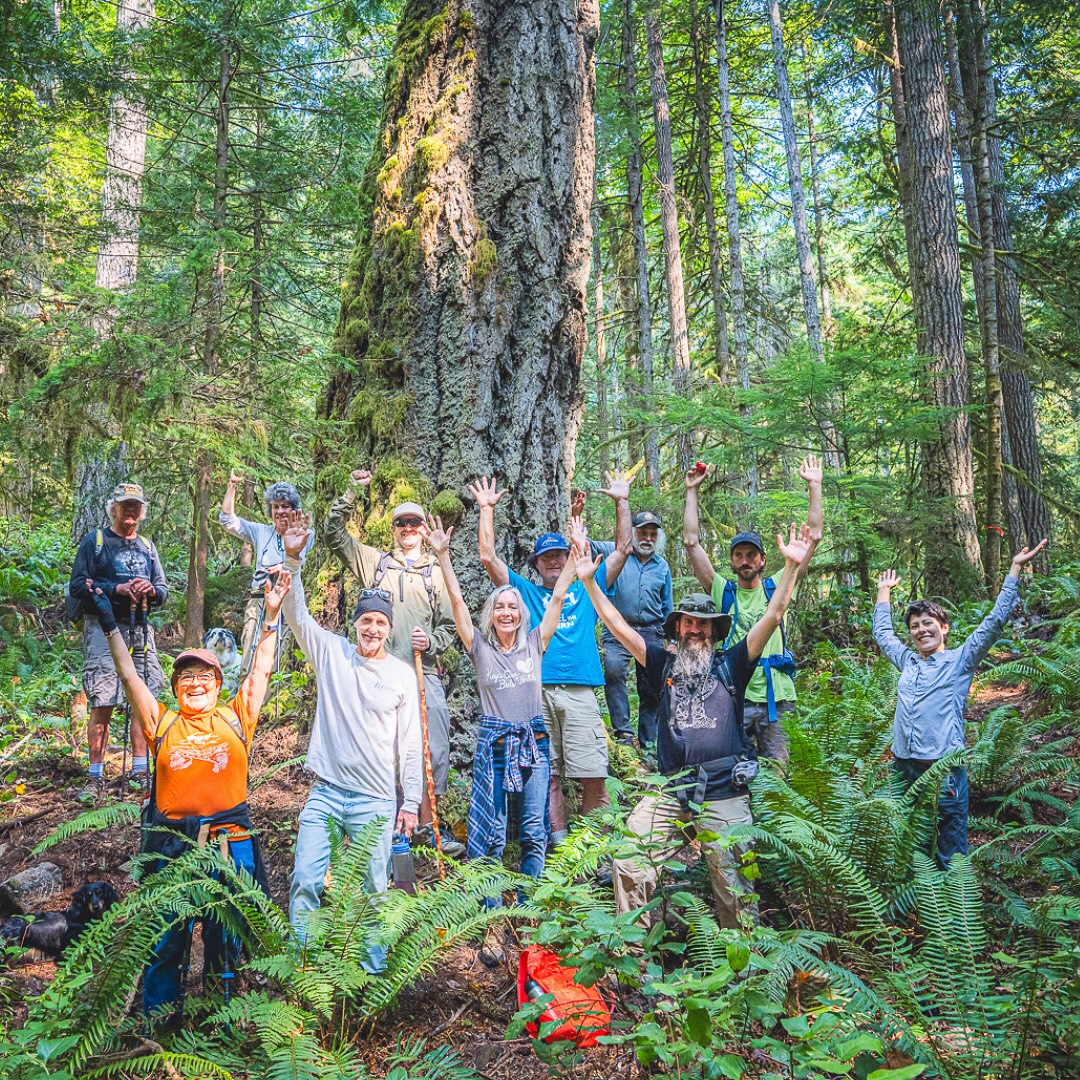 Thanks to everyone who joined us earlier this month for our Lake Sutherland Forest Walk!
This legacy forest was originally scheduled to be clearcut in 2028, but the local community and Elwha Legacy Forest coalition stepped in to stop it.
We had 15 people hike with us through this beautiful 111-acre mature forest. We saw mushrooms, wildlife, and an old growth Douglas fir measuring 63.5 inches in diameter!
We have one more hike coming up this month near Seattle — link in our bio to register!
Photos by @forest2seaadventurephoto