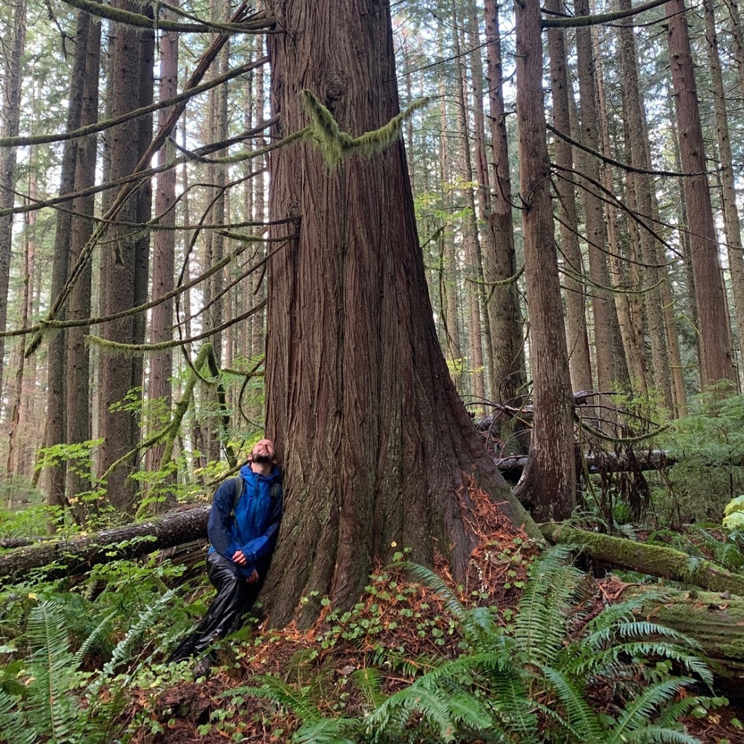Join us this Sunday (9/15) as we hike through Dobbs Mountain Legacy Forest in Elbe Hills State Forest!
We will be visiting Unit 2 of the “Dip In Dobbs” timber sale, a beautiful forest with residual old-growth trees that has never been logged before. We’ll see old-growth Douglas firs and western hemlocks on Nisqually ancestral land that is threatened by logging.
On the hike we will learn what makes this forest unique and ecologically important, what species of plants and trees live in this forest, and what we can do to protect it.
“Dip In Dobbs” is one of the last unlogged forests in the area and is slated to be auctioned off for logging in 2026 by the Department of Natural Resources unless the community takes steps to protect it!
The hike will be 3-5 miles with 800 feet of elevation gain. Dogs are welcome.
Details & RSVP using the link in our bio!