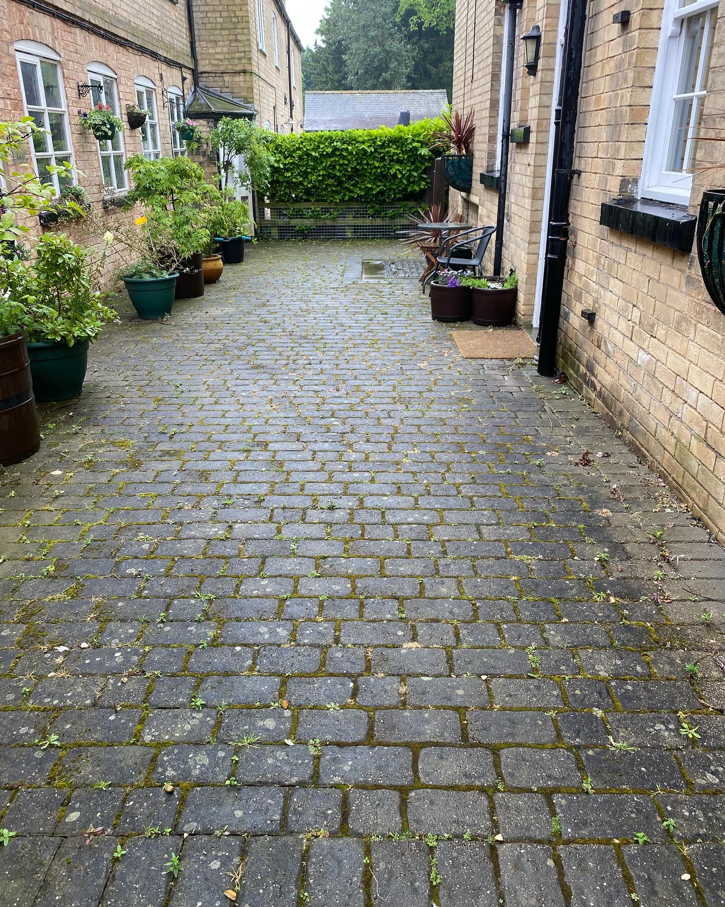Another day, another block paving cleaned ✅🧽
