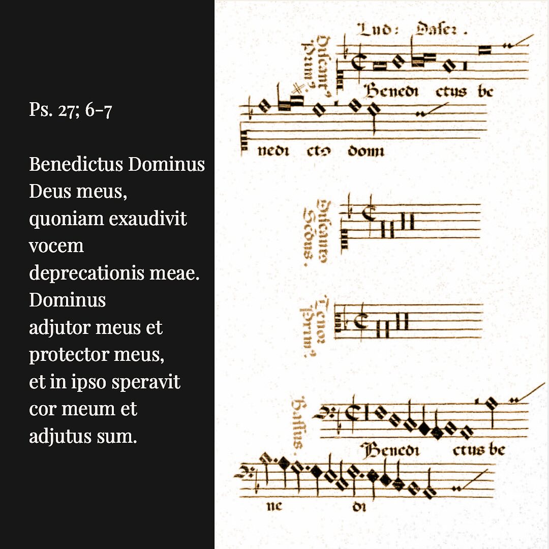 Laus Polyphoniae | Antwerp
Tue 27 August 2024
22:15 - St.-Joriskerk
AUXantiqua & I Fedeli
directed by Stefan Steinemann
Ludwig Daser (c.1526 - 1589)
Benedictus Dominus Deus meus
Mus. MS 41, no. 10
Fratres, sobrii estote et vigilate
Cod.mus.I.fol.13
Ludwig Daser was born in Munich near the year 1526. At an early age he joined the Bavarian Hofkapelle in Munich. There he received formal education in theology and music, the latter as a pupil of Ludwig Senfl. He became the Munich court choirmaster in 1552, replacing Andreas Zauner. In addition to conducting and composing, Daser was responsible for training boys for the choir, and for hiring vocal and instrumental musicians for the chapel. In 1556 Orlande de Lassus arrived at the Munich court. The universal acclaim accorded to de Lassus caused discomfiture for Daser, as his role as primary musician became supplanted by de Lassus.
Daser’s music continued to be performed at the Munich chapel under de Lassus. Daser moved to Stuttgart in 1572 and became kapellmeister there. He remained Kapellmeister at Stuttgart for seventeen years. He died in Stuttgart on 27 March 1589. His son-in-law Balduin Hoyoul succeeded him as Kapellmeister in Stuttgart.
#lauspolyphoniae #auxantiqua #ifedeli #A8 #antwerp #earlymusic #polyphonie #amuz #highwaytoheaven #ludwigdaser #stuttgart @amuzantwerpen @stefansteinemann
