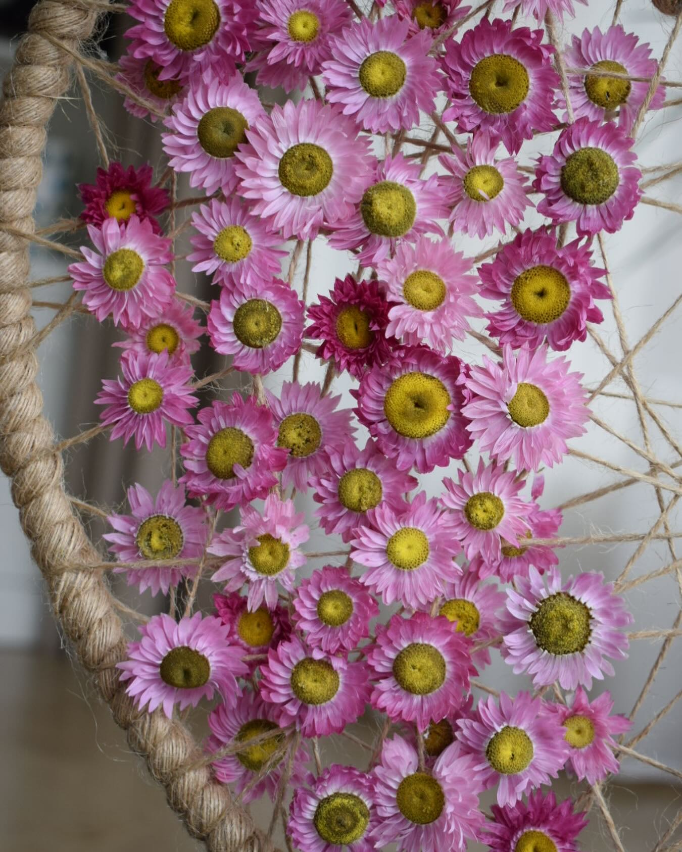 En février, nous avons réalisé un joli cœur fleuri 🌸 #fleursaddict #walhain #artfloral #saintvalentin