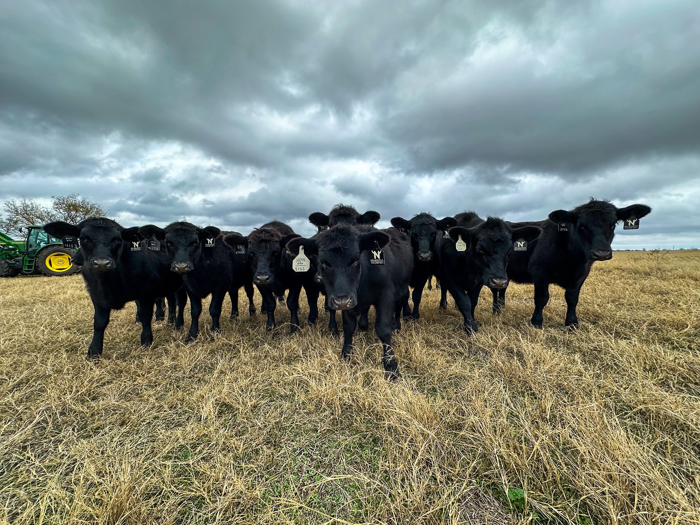 A beautiful Saturday for some light ranching!