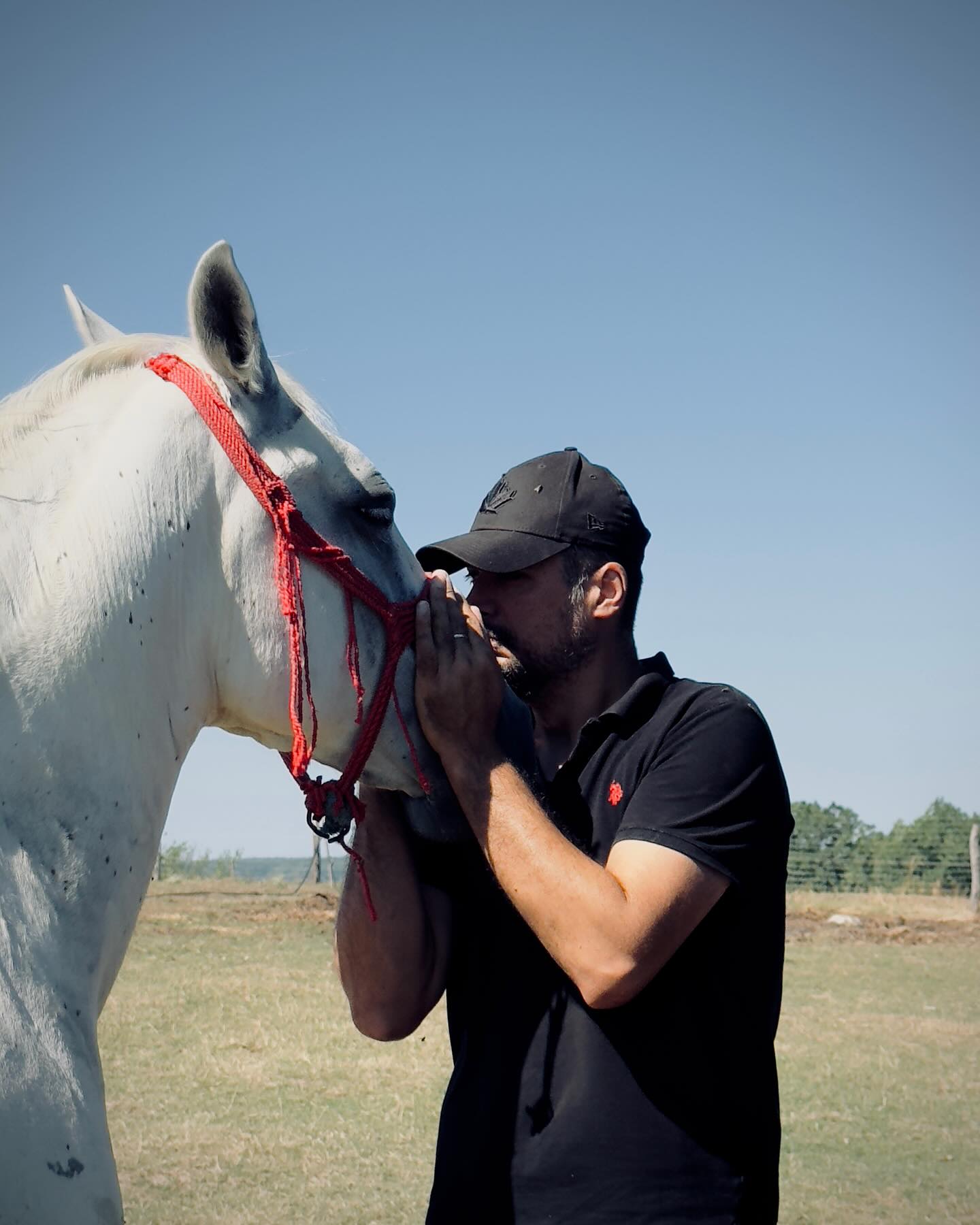 Lord and I have always had a special connection. He follows me everywhere (maybe because I give him 5 apples everyday 🙂. At least). That’s how daily life on our @grassfedangus looks like. Have a lovely Sunday. Stefan (the Farmer).