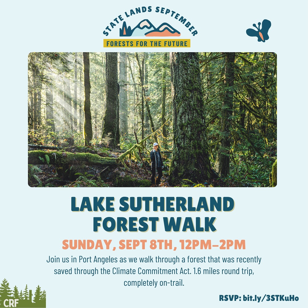 Join us this Sunday at Wandering Joy Campground for a 1.6 mile walk through the Lake Sutherland forest. This legacy forest was scheduled to be clearcut in 2028, but the local community and Elwha Legacy Forest coalition worked together to get 111 acres around Lake Sutherland permanently protected through the CCA. We will have special access to some of the biggest old growth trees in the forest through the adjacent campground. Link in bio to register!