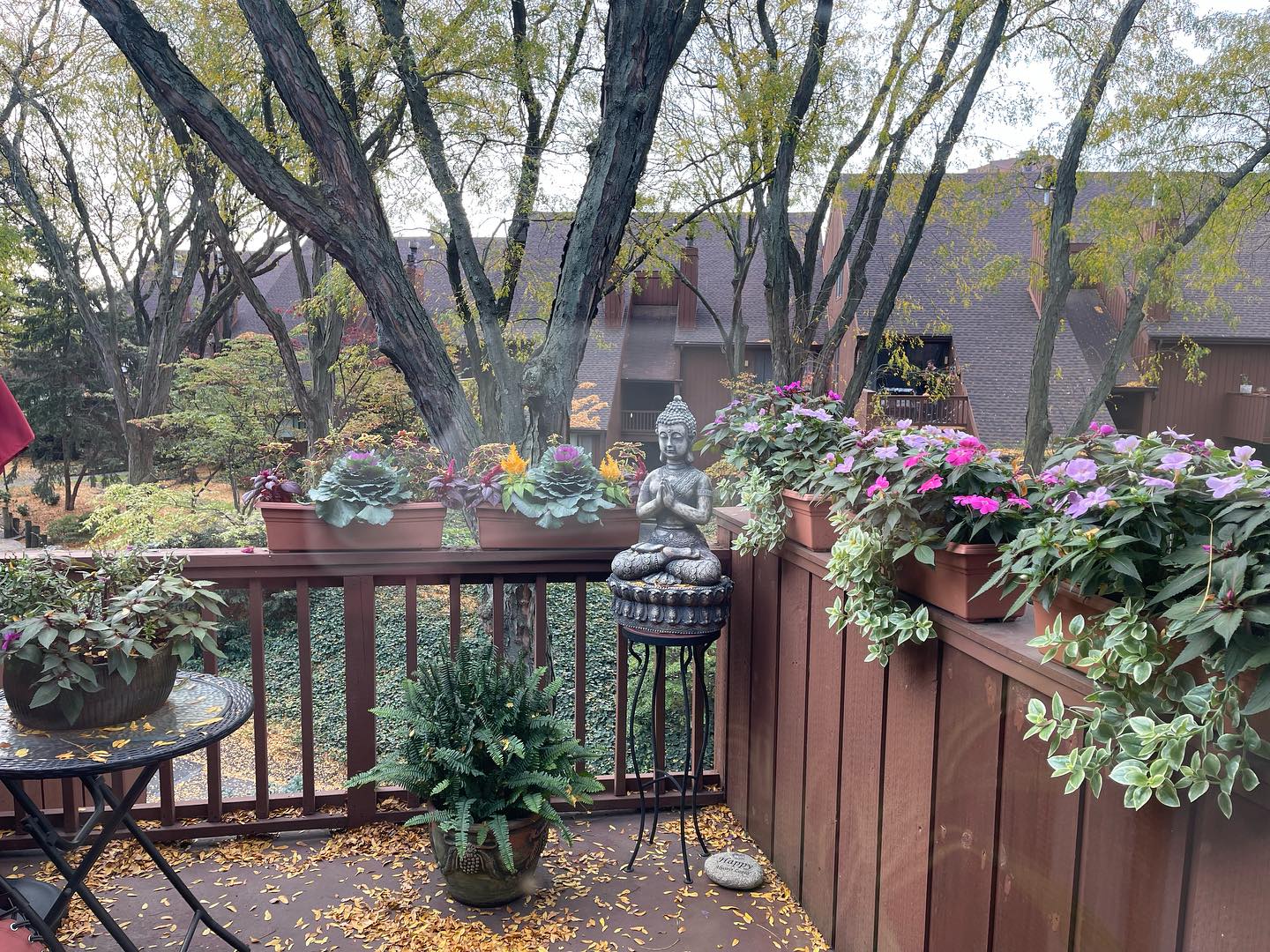 Mother Nature hard at work to keep the plants thriving at this point in the season.
.
.
.
.
.
#raiseyourvibration #goodenergy
#functionalwellnesspractitioner #holistichealthcoach
#bodyintuition #mindbodyspirit #nutritionaltherapy #lifestyleeducator #functionalhealthcoach
#foodismedicine #weightmanagement #licensedmassagetherapist #reiki #shiatsu #bodywisdom #essentialoils #youngliving #montclair #aroundmontclair #uptownmontclair #montclairnewjersey #northjersey #newjerseyhealth #essexcounty #newjersey #uppermontclair #montclairnj #bodywisdom #bodywisdombybonnieberke #bonnieberke
Follow👉@bodywisdombybonnieberke