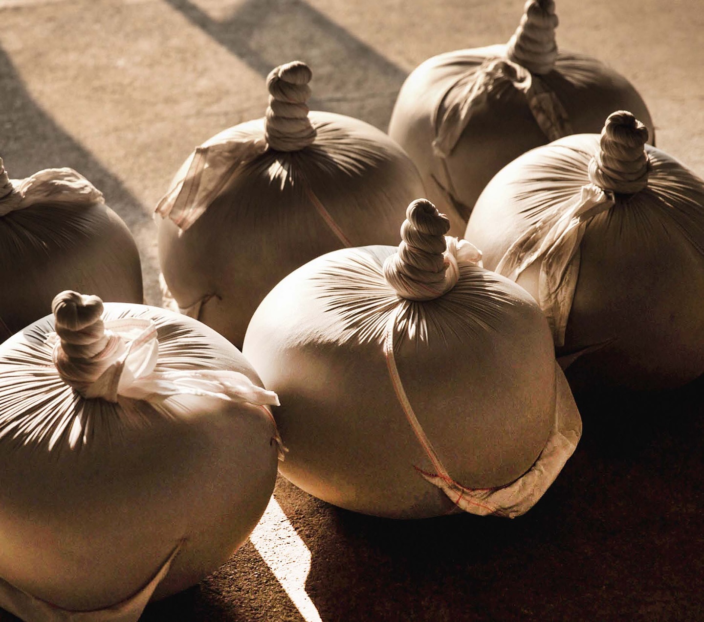 𝐃𝐢𝐝 𝐲𝐨𝐮 𝐤𝐧𝐨𝐰? 🌱 𝐓𝐚𝐢𝐰𝐚𝐧 𝐢𝐬 𝐭𝐡𝐞 𝐛𝐢𝐫𝐭𝐡𝐩𝐥𝐚𝐜𝐞 𝐨𝐟 𝐛𝐚𝐥𝐥-𝐬𝐡𝐚𝐩𝐞𝐝 𝐨𝐨𝐥𝐨𝐧𝐠 𝐭𝐞𝐚!
While tea cultivation in Taiwan started as early as the late 17th century, it was tea masters from Fujian who brought over advanced and traditional tea-making techniques in the mid-19th century. Later generations of tea masters in Taiwan innovated and perfected the iconic ball-shaped rolling technique. This method, unique to Taiwan, preserves freshness and allows the leaves to slowly unfurl during brewing, releasing rich layers of flavor. Though the technique originated in Taiwan, some tea producers in China have adopted it in recent years, creating ball-shaped #Tieguanyin and other oolongs.
🍵✨ Today, Taiwan’s oolongs are known for their distinctive quality and taste! 🌿
#TeaHistory #TaiwanOolong #TeaCraft #OolongTea #TeaCraftmanship #Innovation