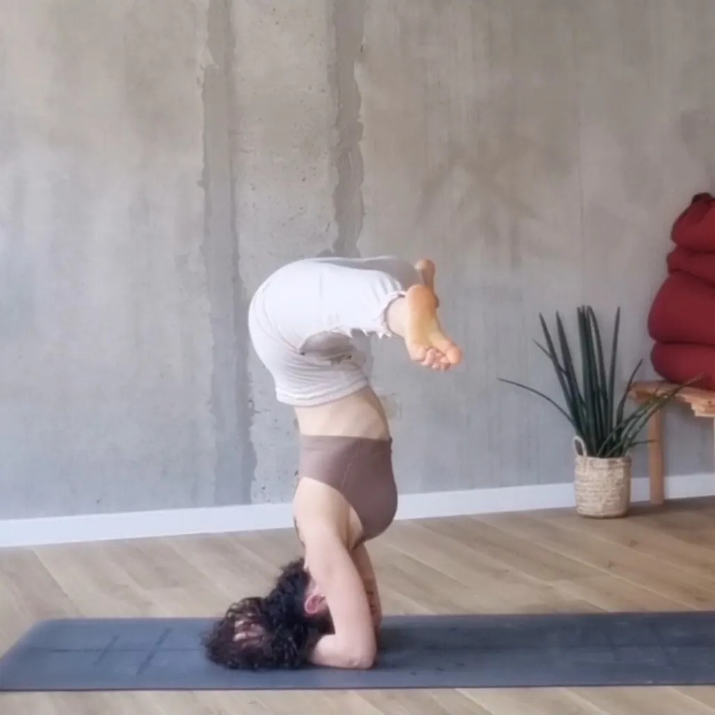 RENVERSANTE HUMILITÉ
-
Ces derniers mois renversants viennent chatouiller mon confort, mes habitudes. Ils déconstruisent des certitudes, mettent en lumière des zones d'ombre pour découvrir de nouveaux chemins 😌
Que c'est bon de continuer à apprendre 🧘🏻♀️
Les postures inversées tissent ce lien entre la pratique des asanas, le dépôt de l'égo, l'écoute et la force nécessaire pour s'élever
Lorsque la connexion est authentique, le déséquilibre a toute sa place. Il peut être accueillit malgré les vents et les marées intérieures, l'ancrâge est là.
#yogainversion #sirsasana1 #changerdeperspective #posturedeyoga #pratiquedeyoga #yogapourtous #plaisirdevivre #yogabaiona #egodeath #innerpeace🙏 #paixinterieure #sérénité #patienceisprogress #humilité