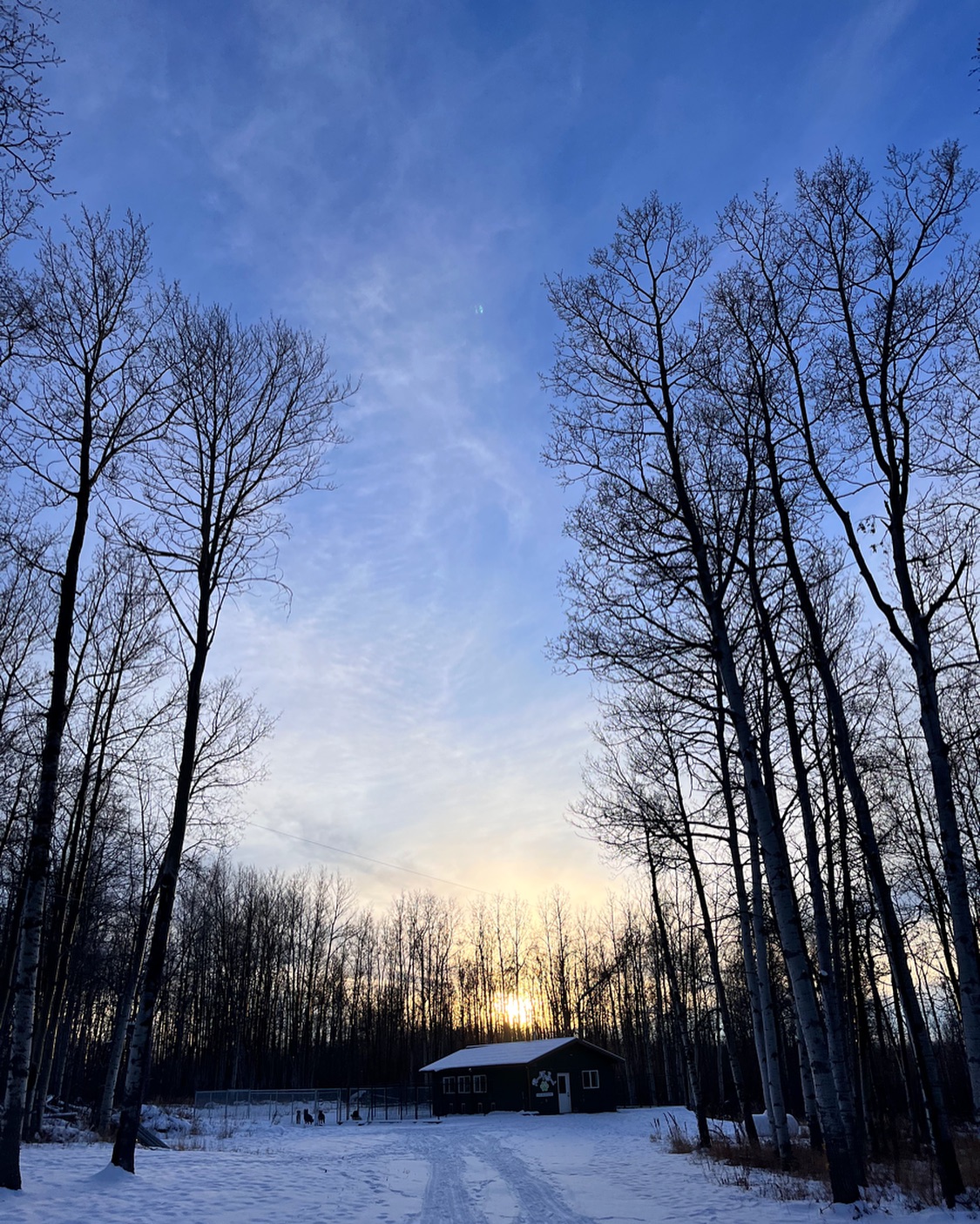 Fresh snow and blue skies today at ‘Round The Bend ☀️