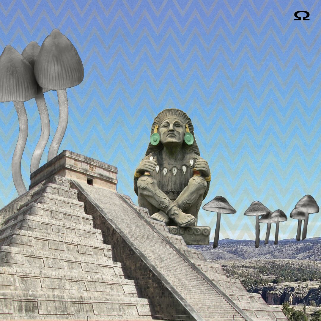 Today marks Cinco de Mayo, a celebration of resilience and heritage for many. As we honor the history and triumphs of the Mexican people, let’s also reflect on the rich traditions that have shaped their culture.
Did you know that mushrooms, particularly varieties containing psil*cybin, held spiritual significance in ancient Aztec rituals? Mushrooms were revered in their spiritual practices, symbolizing connection and introspection.
¡Feliz Cinco de Mayo!
#CincoDeMayo #FiestaTime #mexico